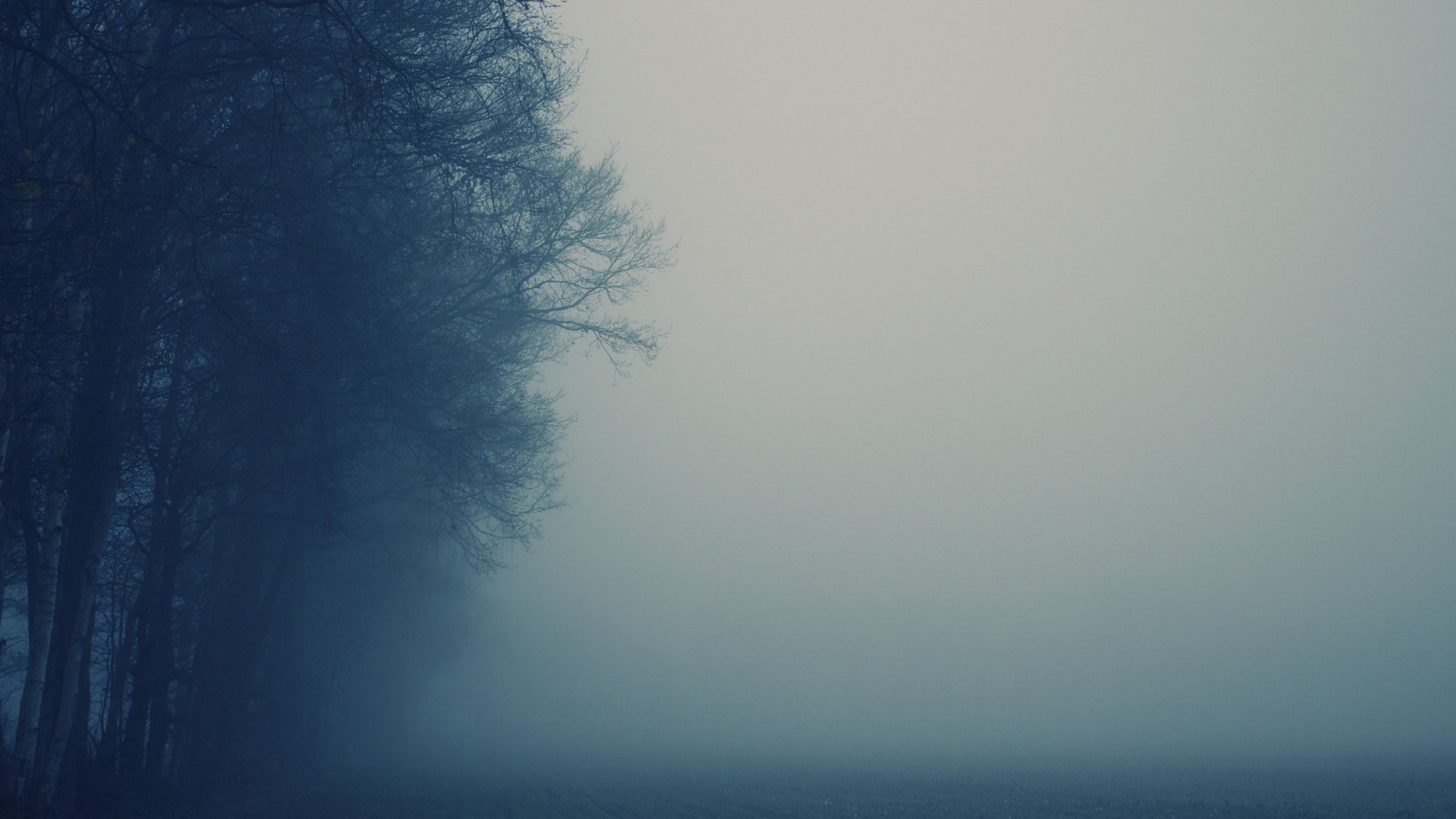 Free download wallpaper Fog, Earth on your PC desktop