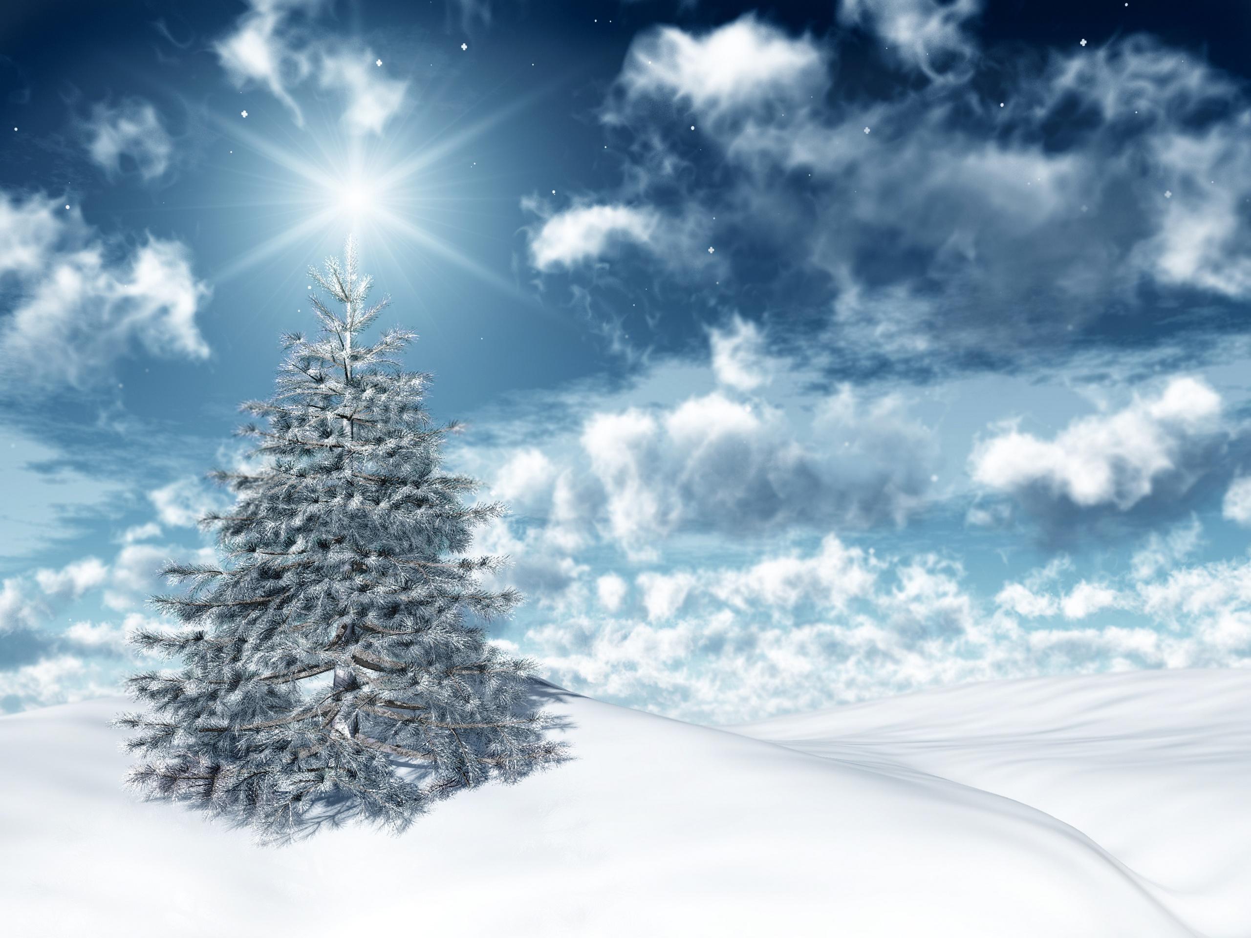 Laden Sie das Neujahr, Tannenbaum, Feiertage, Winter, Sterne, Weihnachten-Bild kostenlos auf Ihren PC-Desktop herunter
