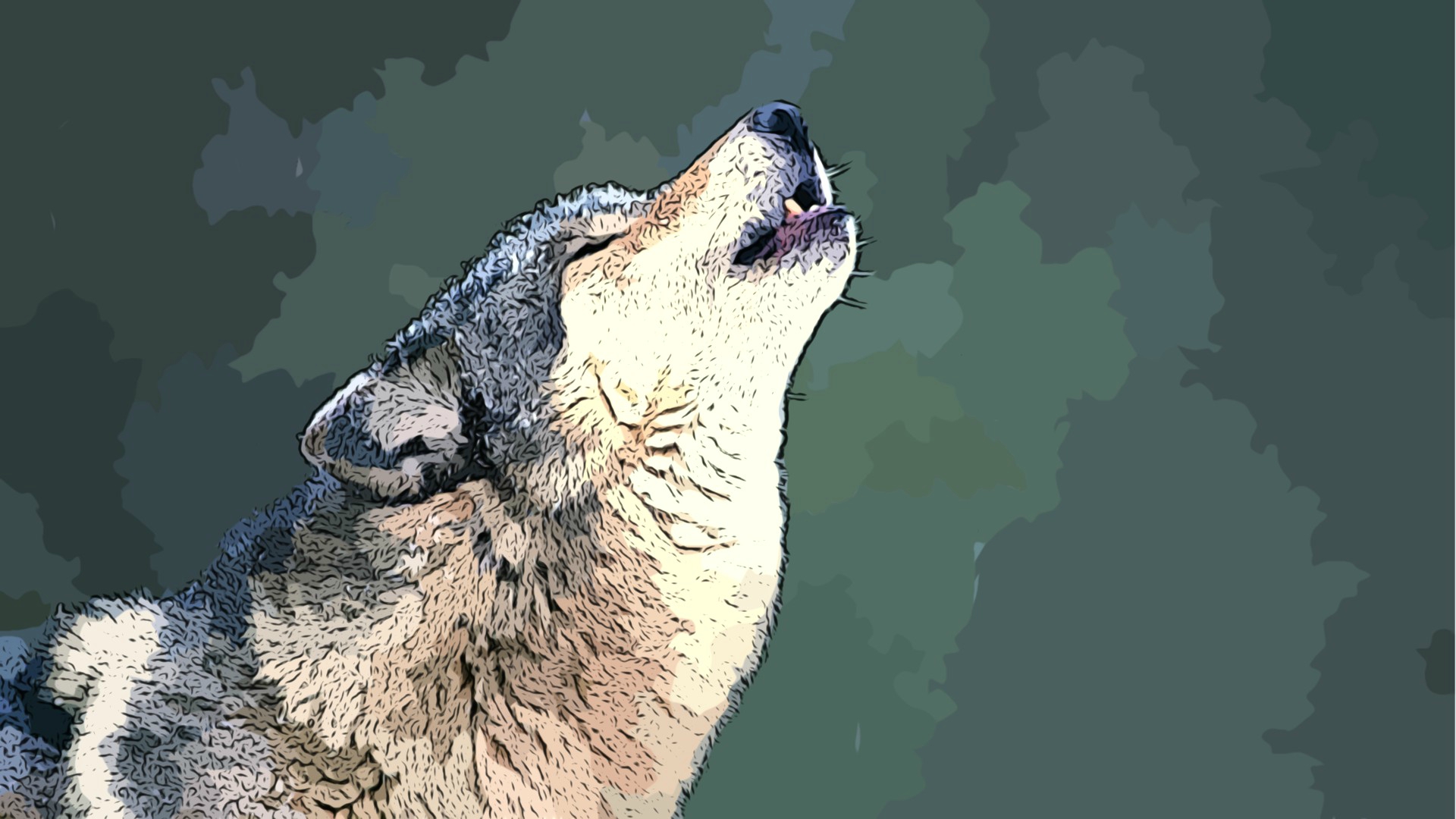 Free download wallpaper Wolf, Animal, Wolves on your PC desktop