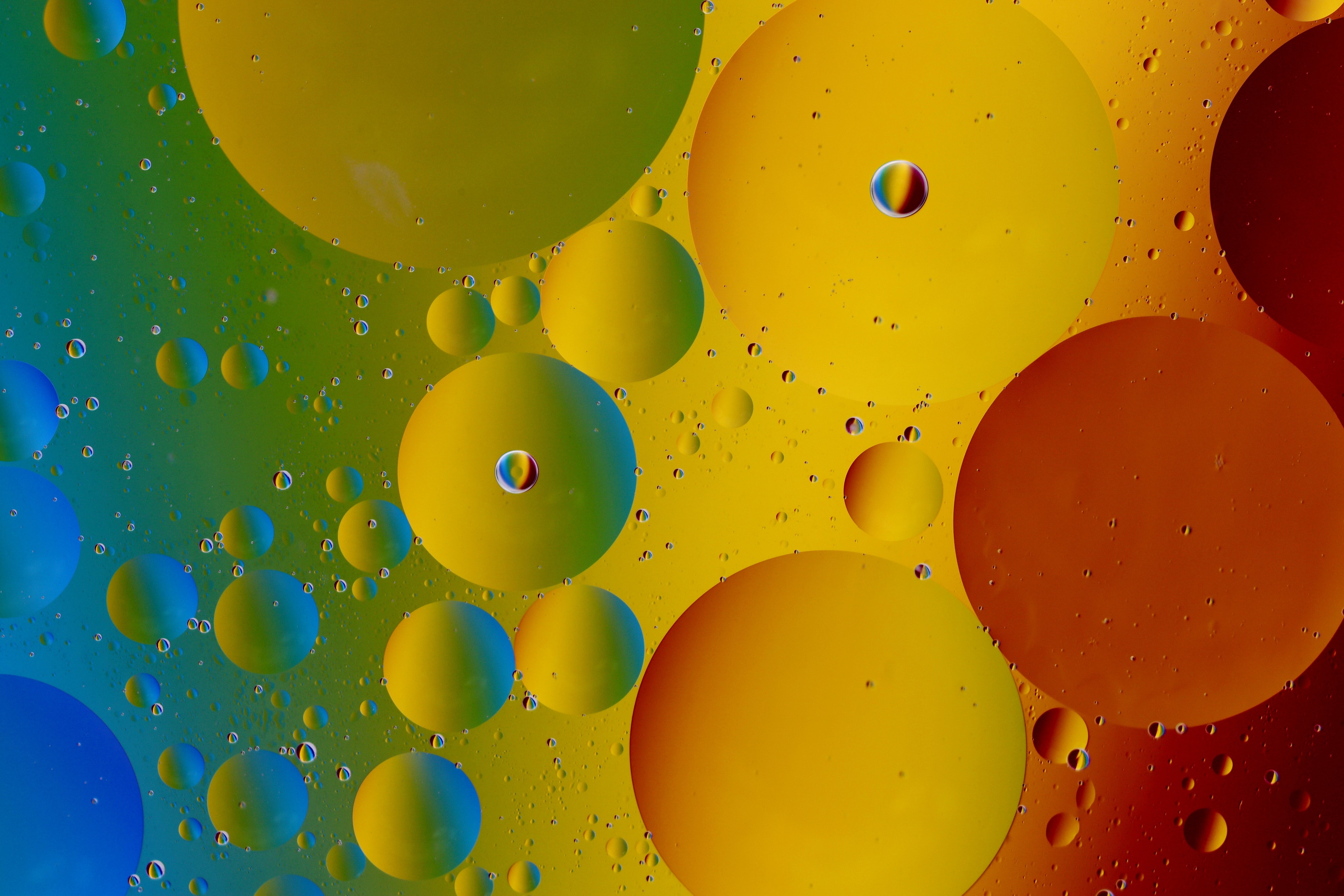 Baixe gratuitamente a imagem Bubbles, Círculos, Gradiente, Abstrato na área de trabalho do seu PC