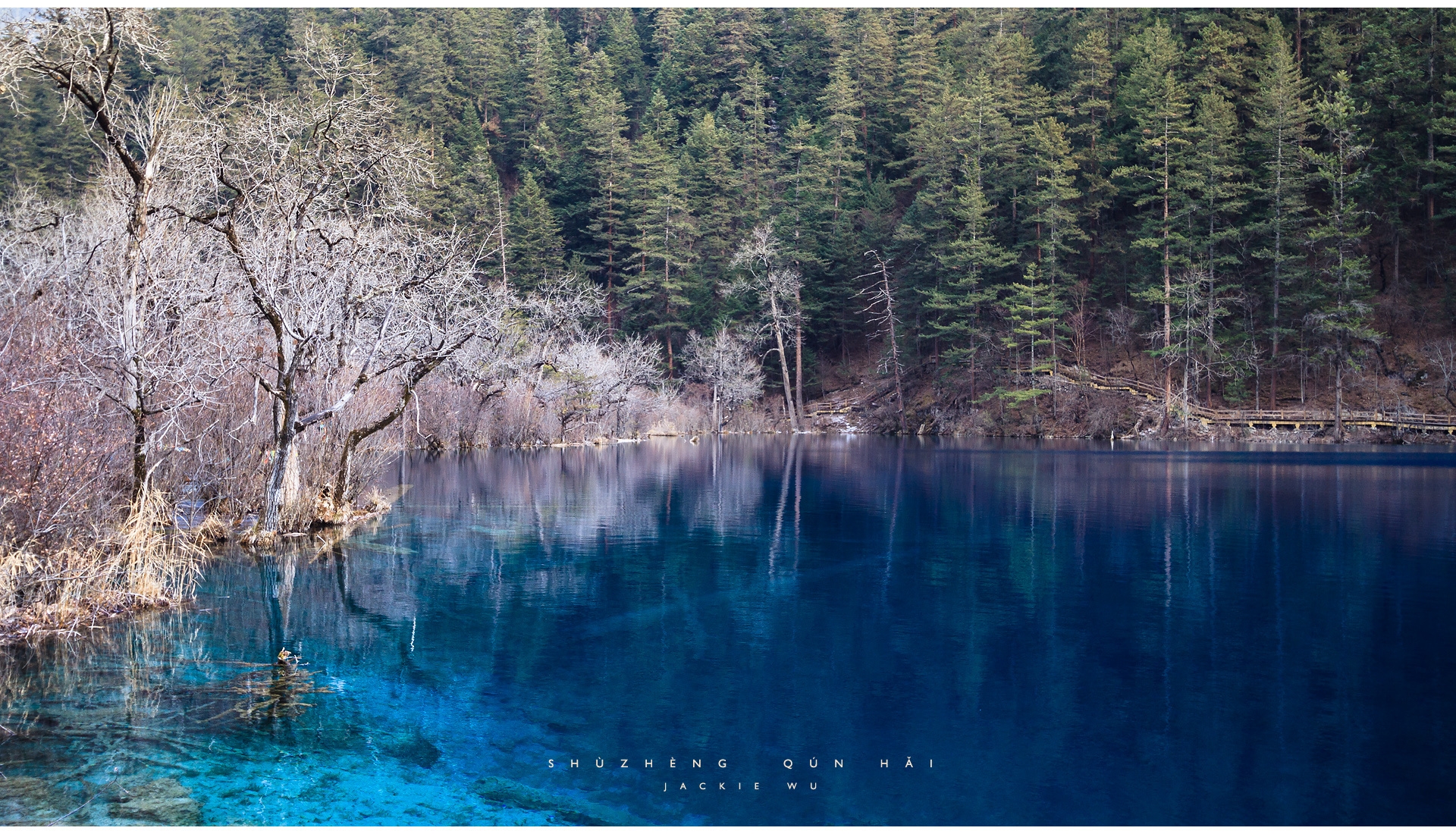 84923 скачать обои лес, голубая вода, природа, озеро, прозрачная, берега - заставки и картинки бесплатно