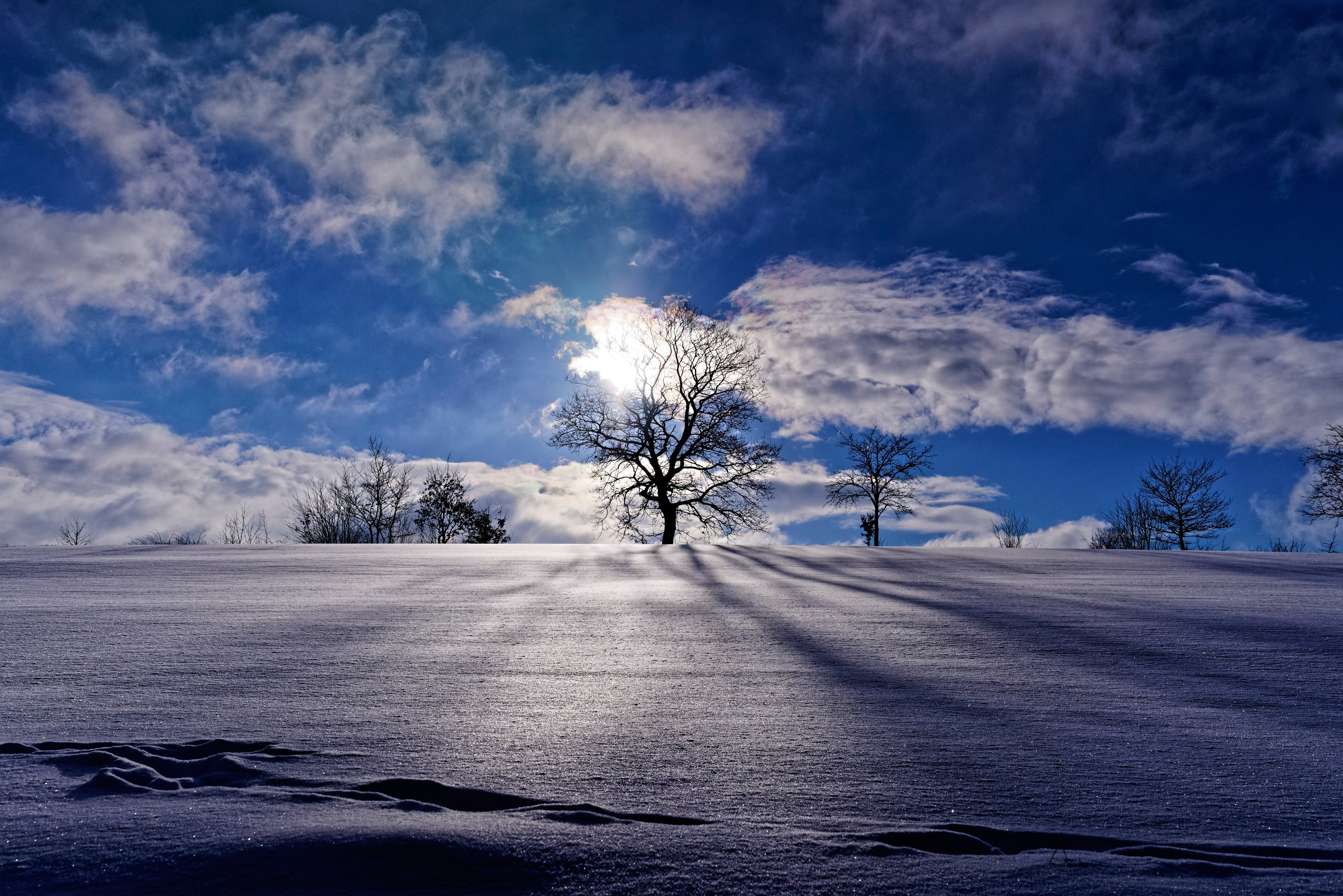 Download mobile wallpaper Winter, Nature, Sky, Snow, Tree, Earth for free.