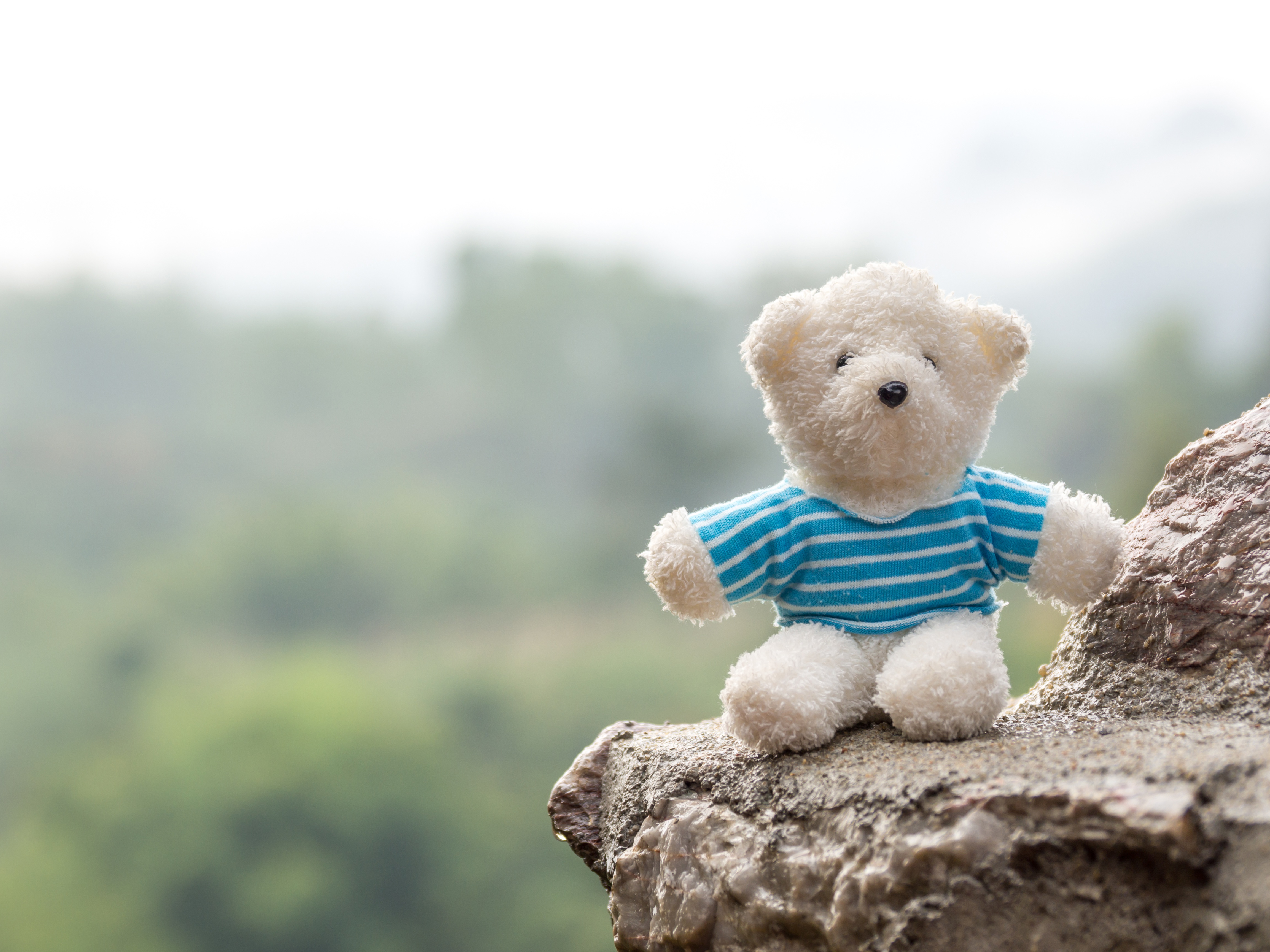 Download mobile wallpaper Teddy Bear, Man Made, Stuffed Animal for free.