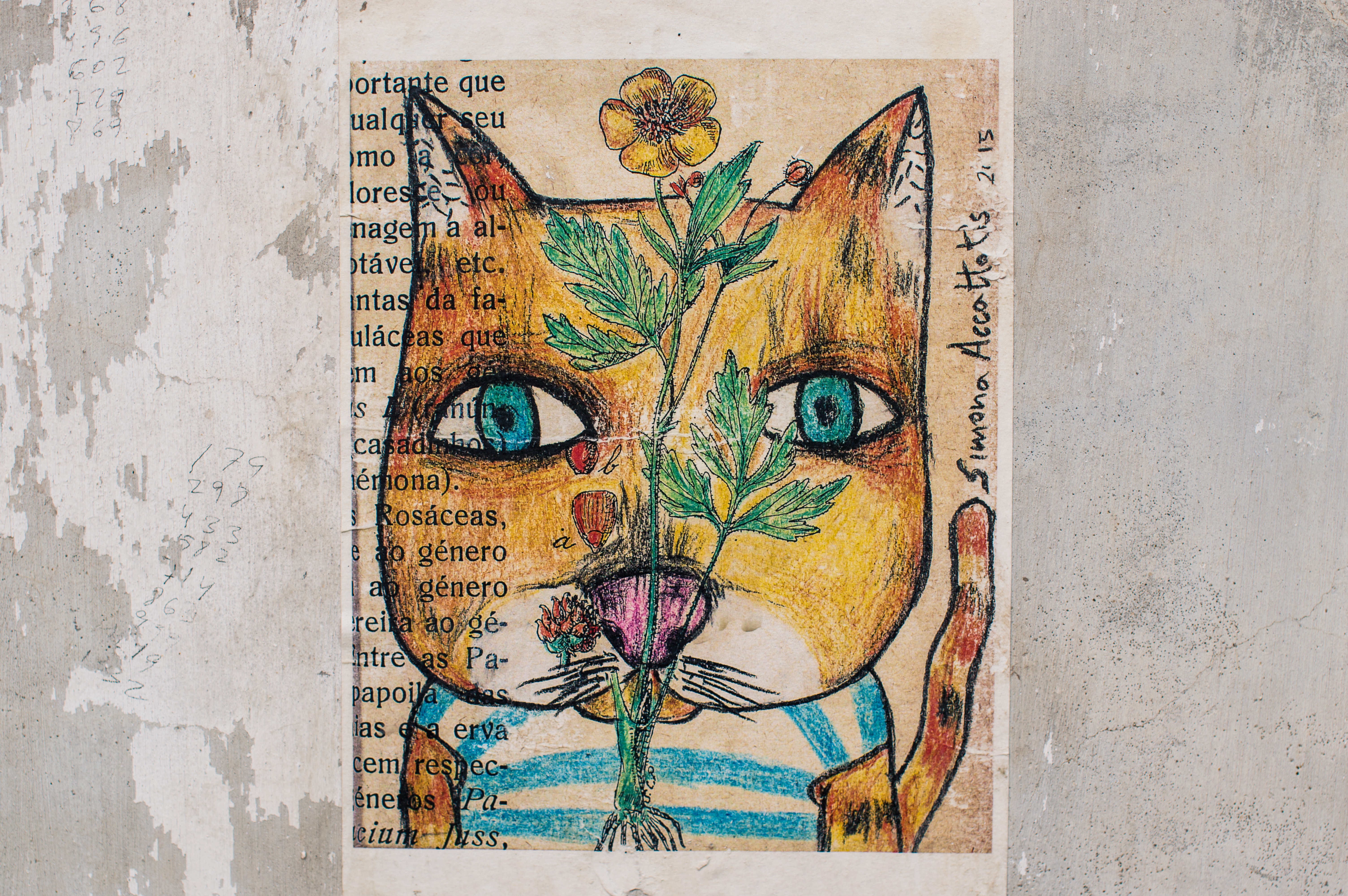 151570 завантажити картинку арт, кіт, кішка, малюнок, креслення, папір - шпалери і заставки безкоштовно