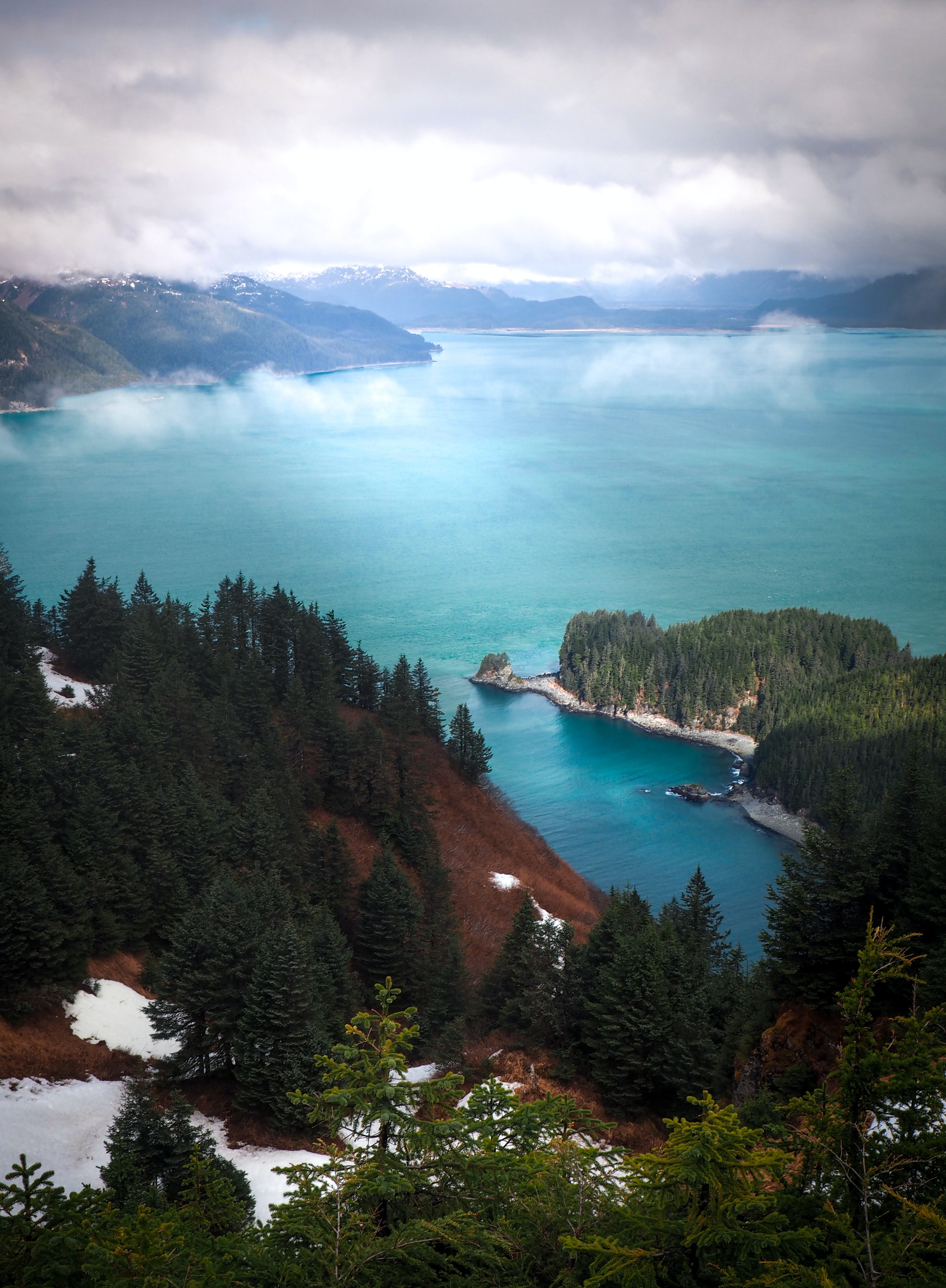 PCデスクトップに自然, 木, スカイ, 湖, 海岸, 霧画像を無料でダウンロード