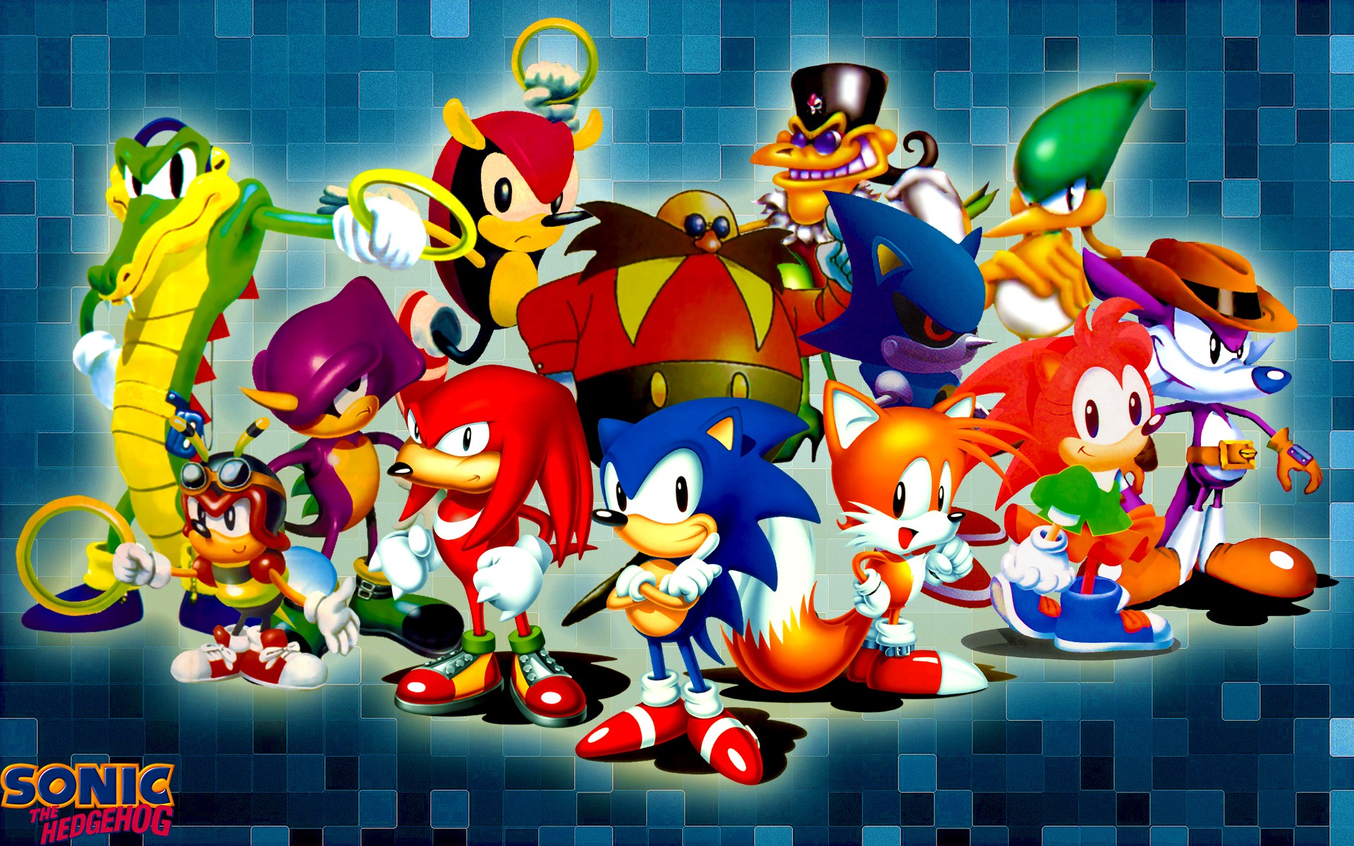 sonic, classic sonic, video game, sonic the hedgehog, amy rose, charmy bee, classic amy, classic knuckles, fang the sniper, mighty the armadillo, miles 'tails' prower, vector the crocodile