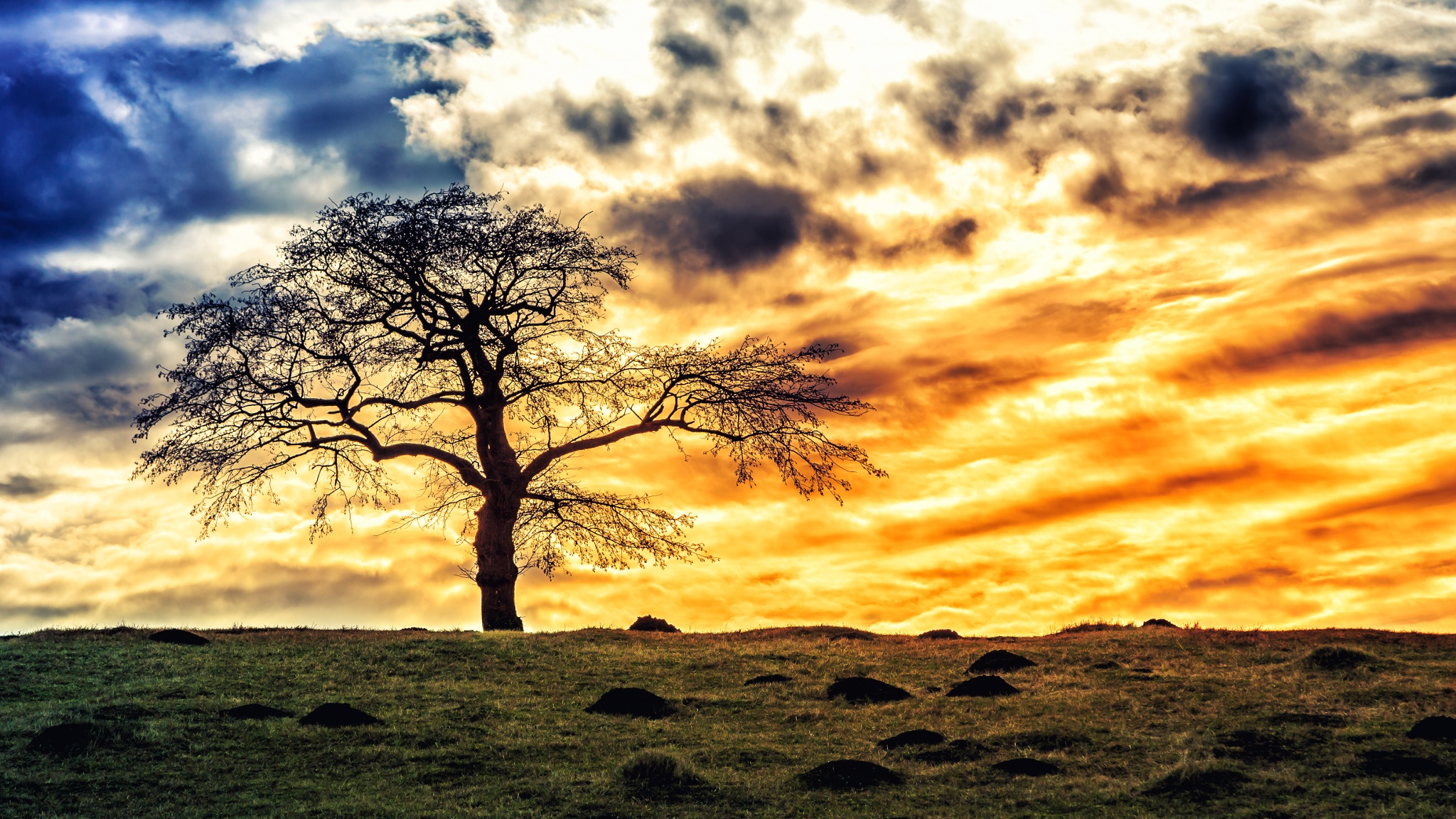 Free download wallpaper Nature, Trees, Sunset, Sky, Tree, Earth, Cloud, Lonely Tree on your PC desktop