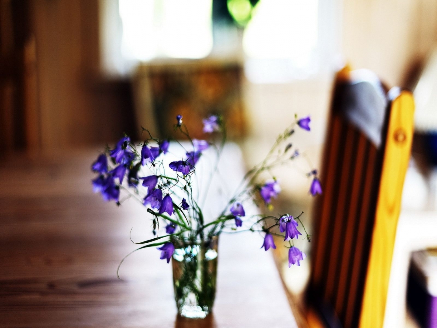 Завантажити шпалери безкоштовно Рослини, Квіти картинка на робочий стіл ПК