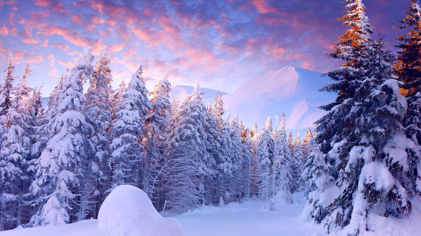 Download mobile wallpaper Winter, Snow, Forest, Earth for free.