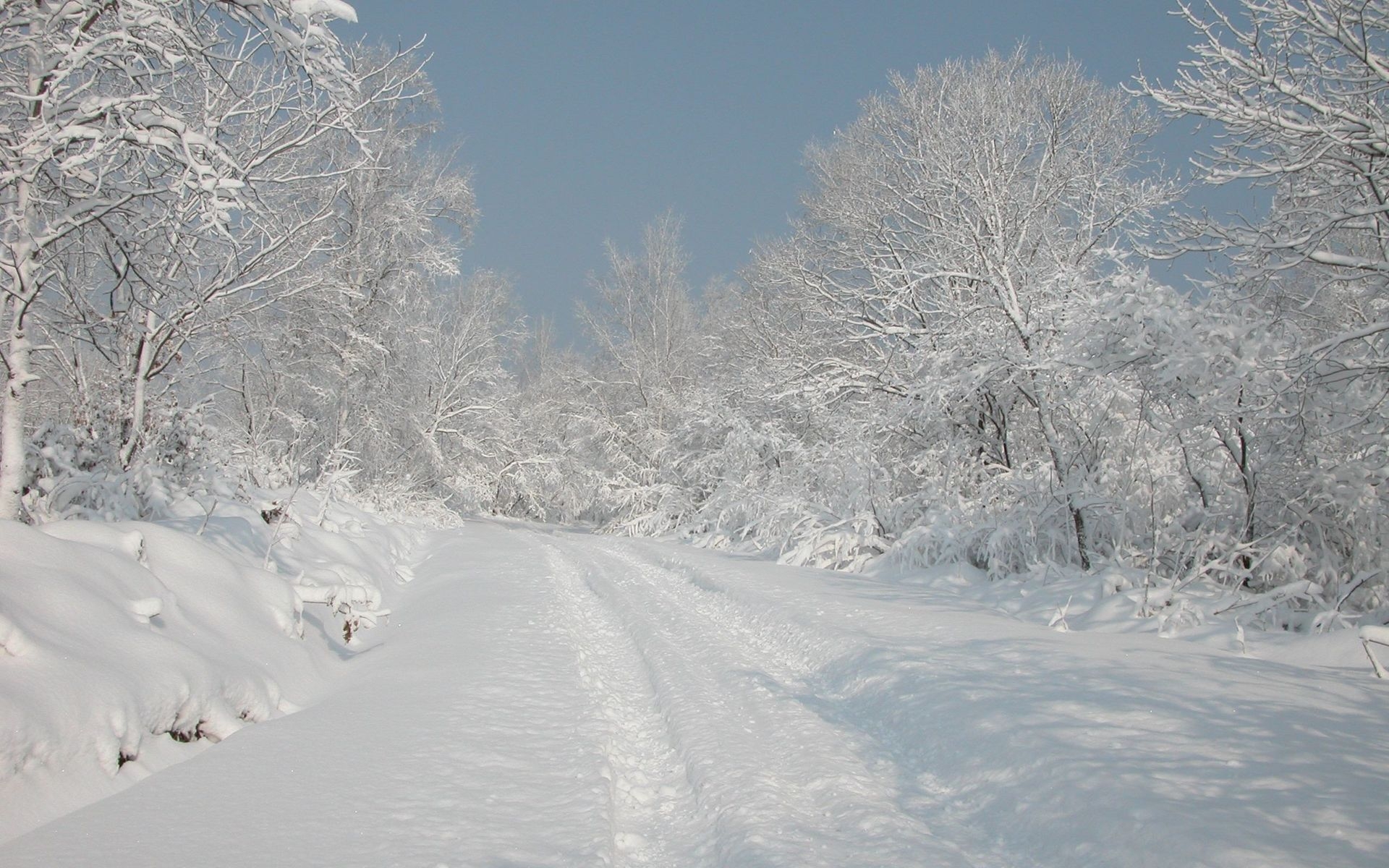 Téléchargez des papiers peints mobile Hiver, Terre/nature gratuitement.