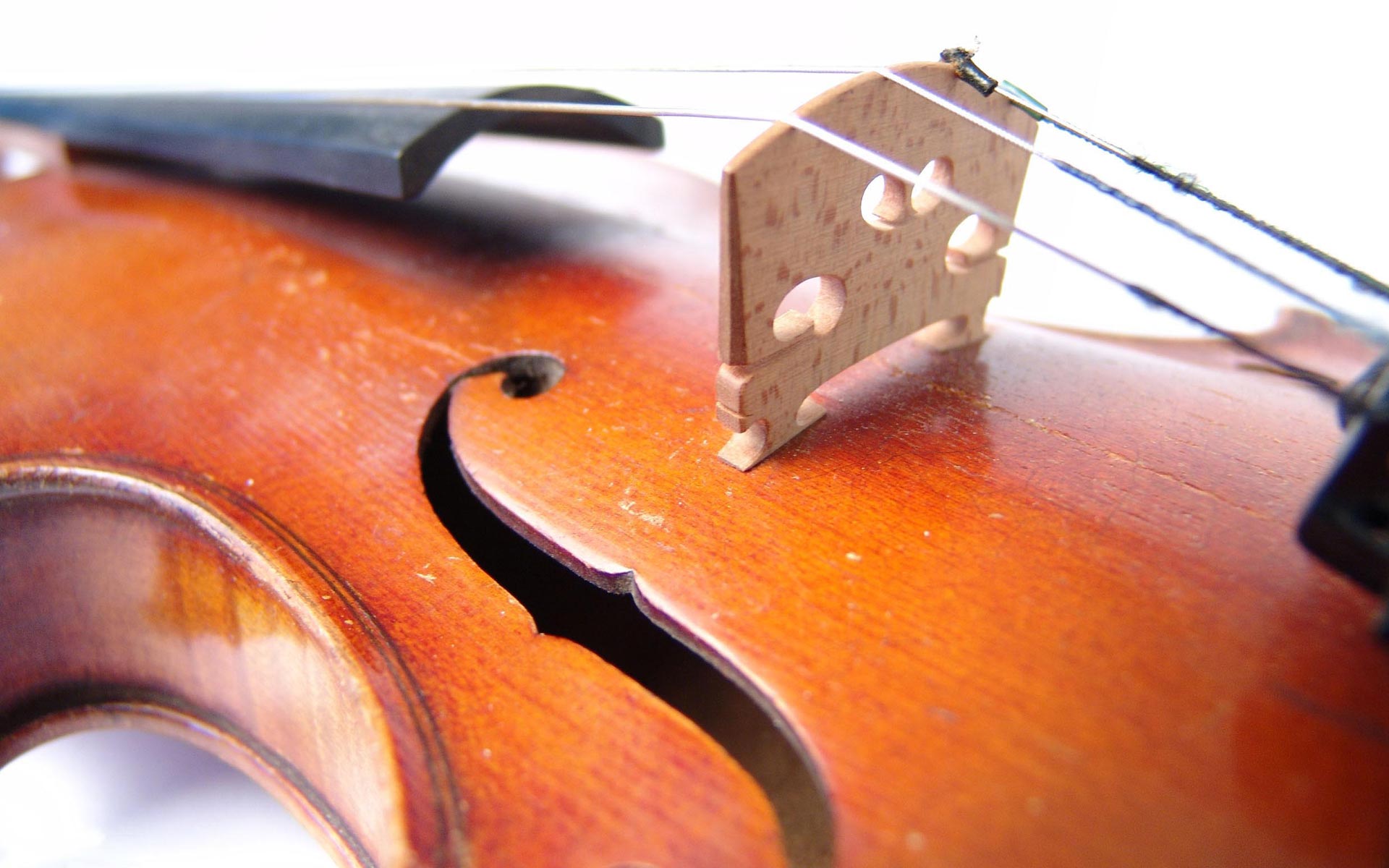 無料モバイル壁紙音楽, バイオリンをダウンロードします。