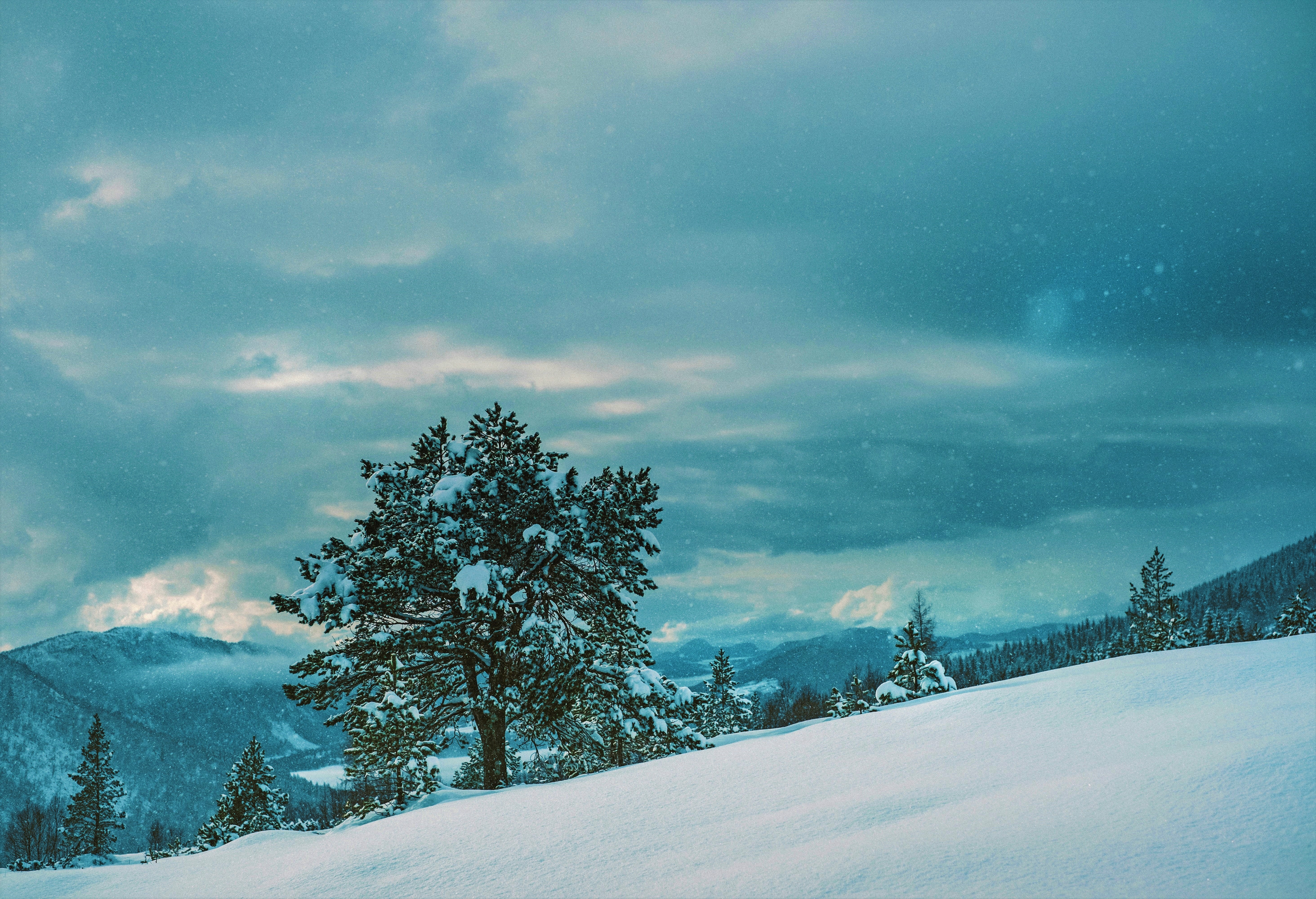Скачать картинку Зима, Снег, Гора, Дерево, Снегопад, Земля/природа в телефон бесплатно.