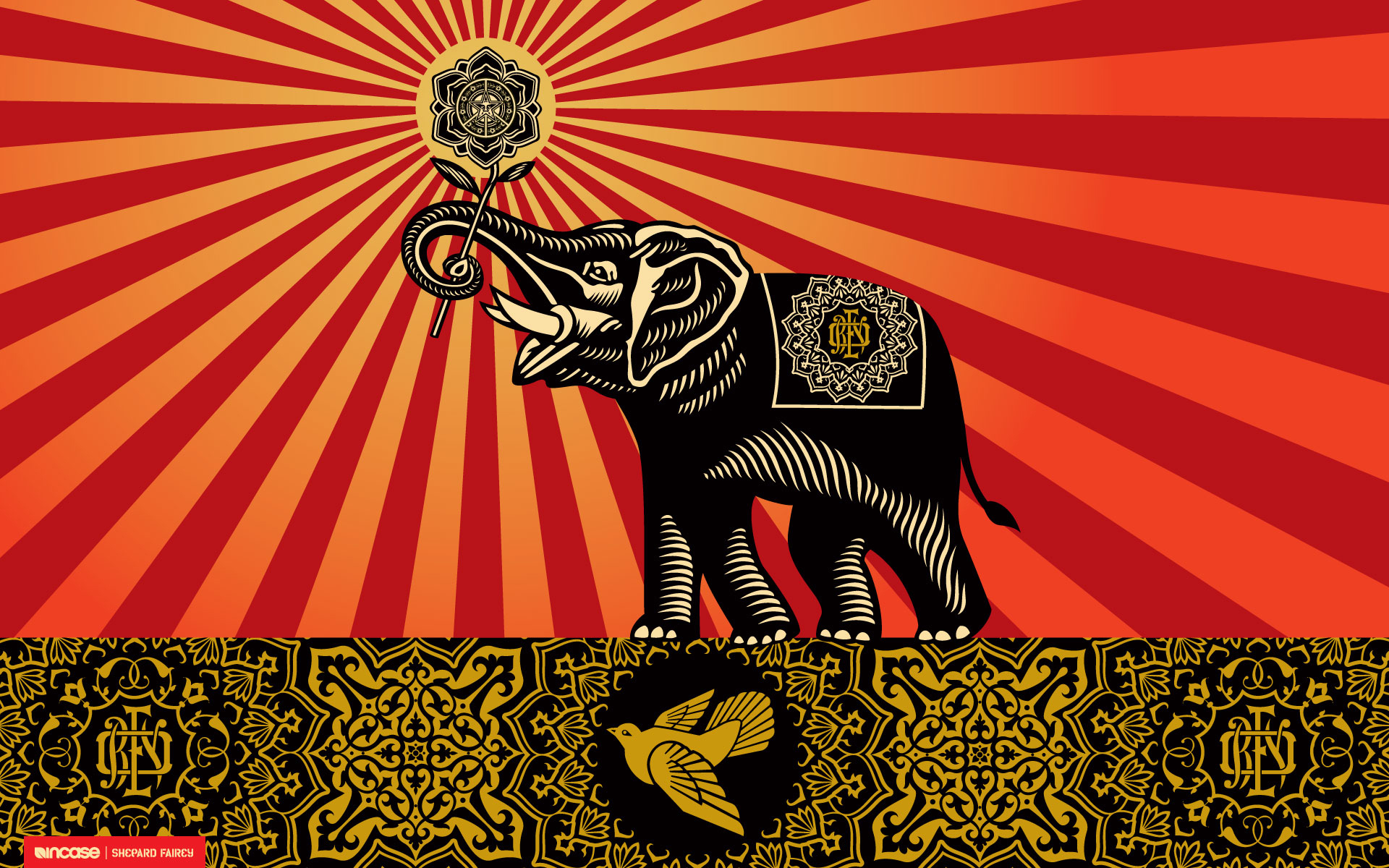 244937 завантажити шпалери тварина, азіатський слон, слони - заставки і картинки безкоштовно