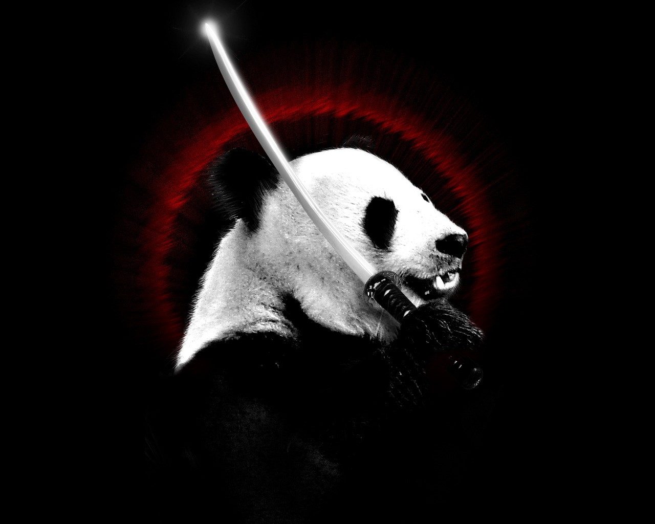 Descarga gratis la imagen Animales, Panda, Llevar en el escritorio de tu PC