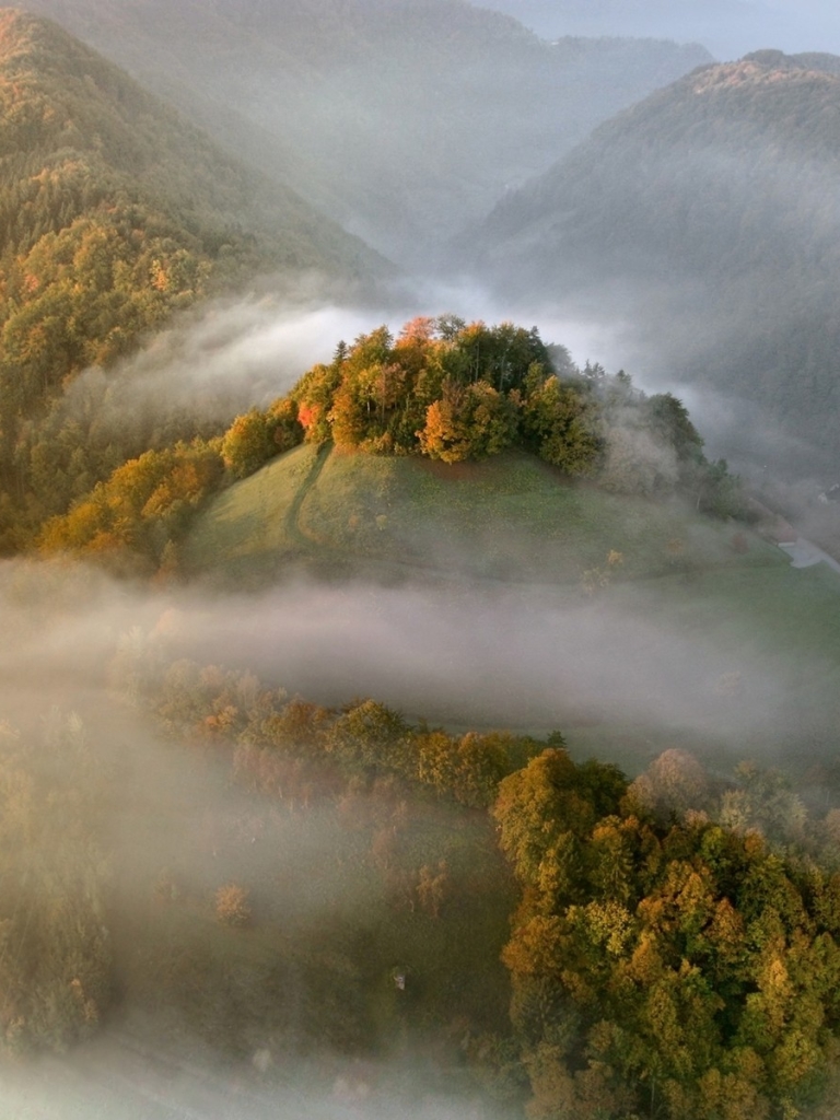 Скачать картинку Осень, Гора, Лес, Туман, Падать, Земля/природа в телефон бесплатно.