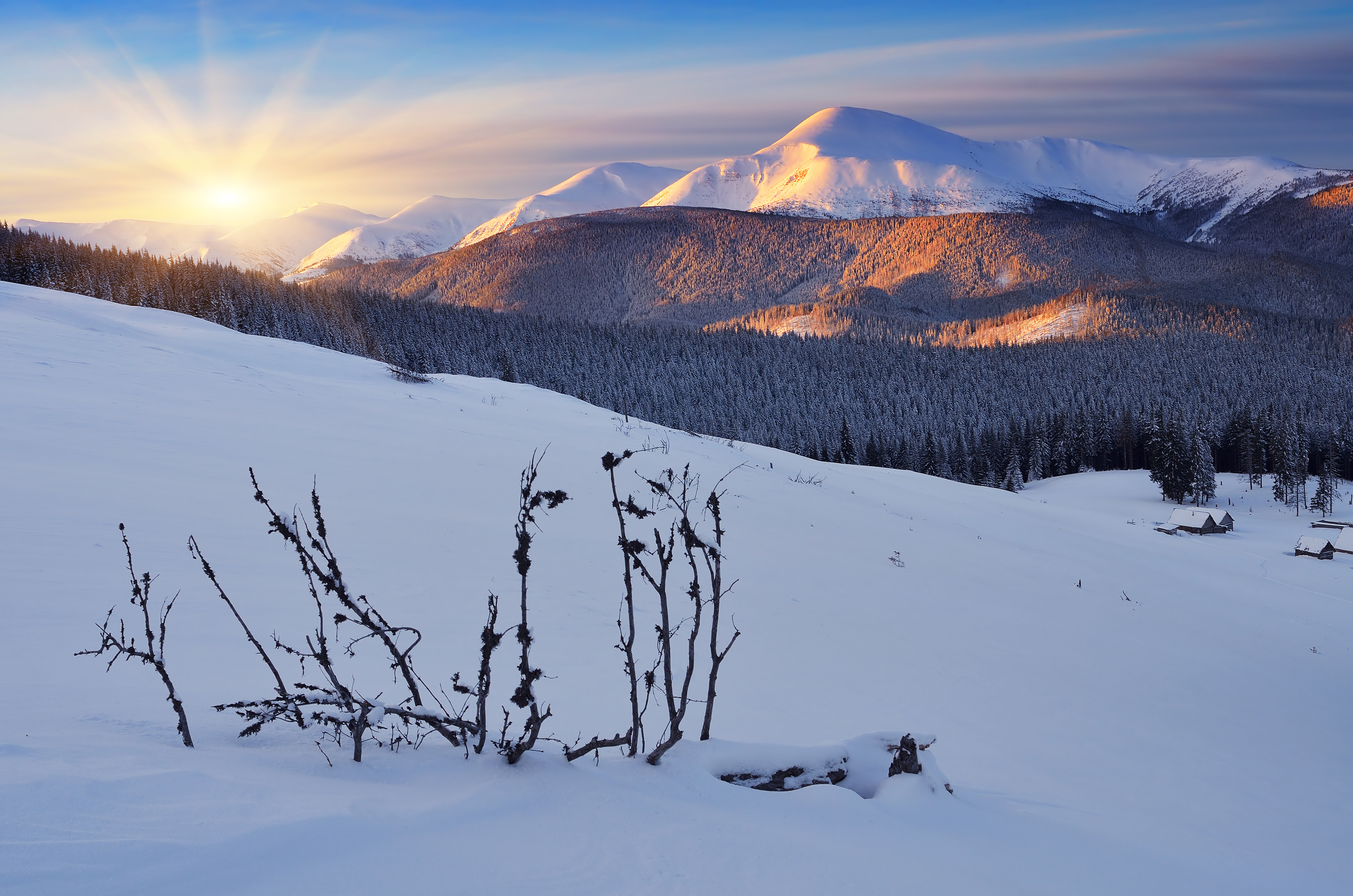 PCデスクトップに風景, 冬, 自然, 木, 雪, 山, 森, 地球画像を無料でダウンロード