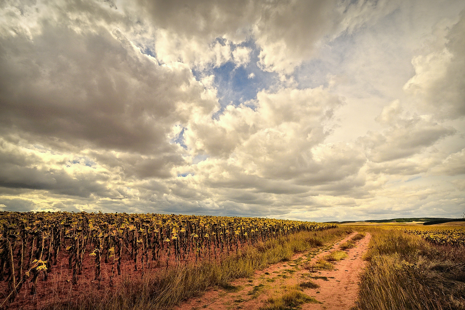 Handy-Wallpaper Natur, Feld, Straße, Landschaft kostenlos herunterladen.