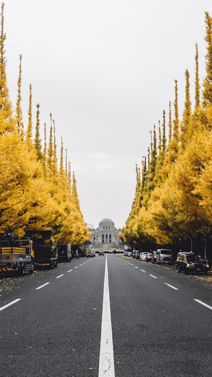 Handy-Wallpaper Straße, Baum, Menschengemacht, Innerortsstraße kostenlos herunterladen.