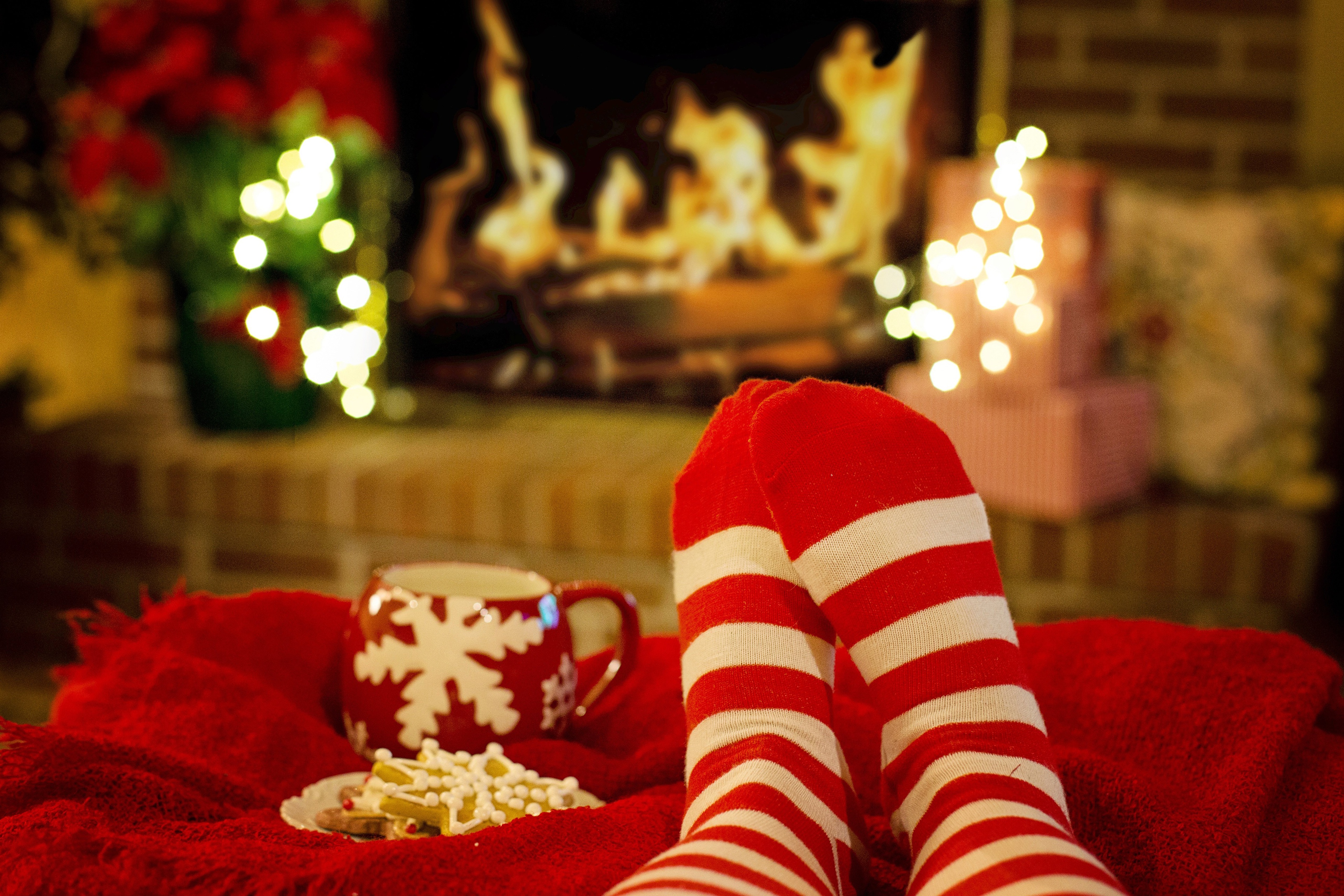 Téléchargez des papiers peints mobile Noël, Jambes, Photographie, Chaussettes, Biscuit, Les Gens, Tasse gratuitement.