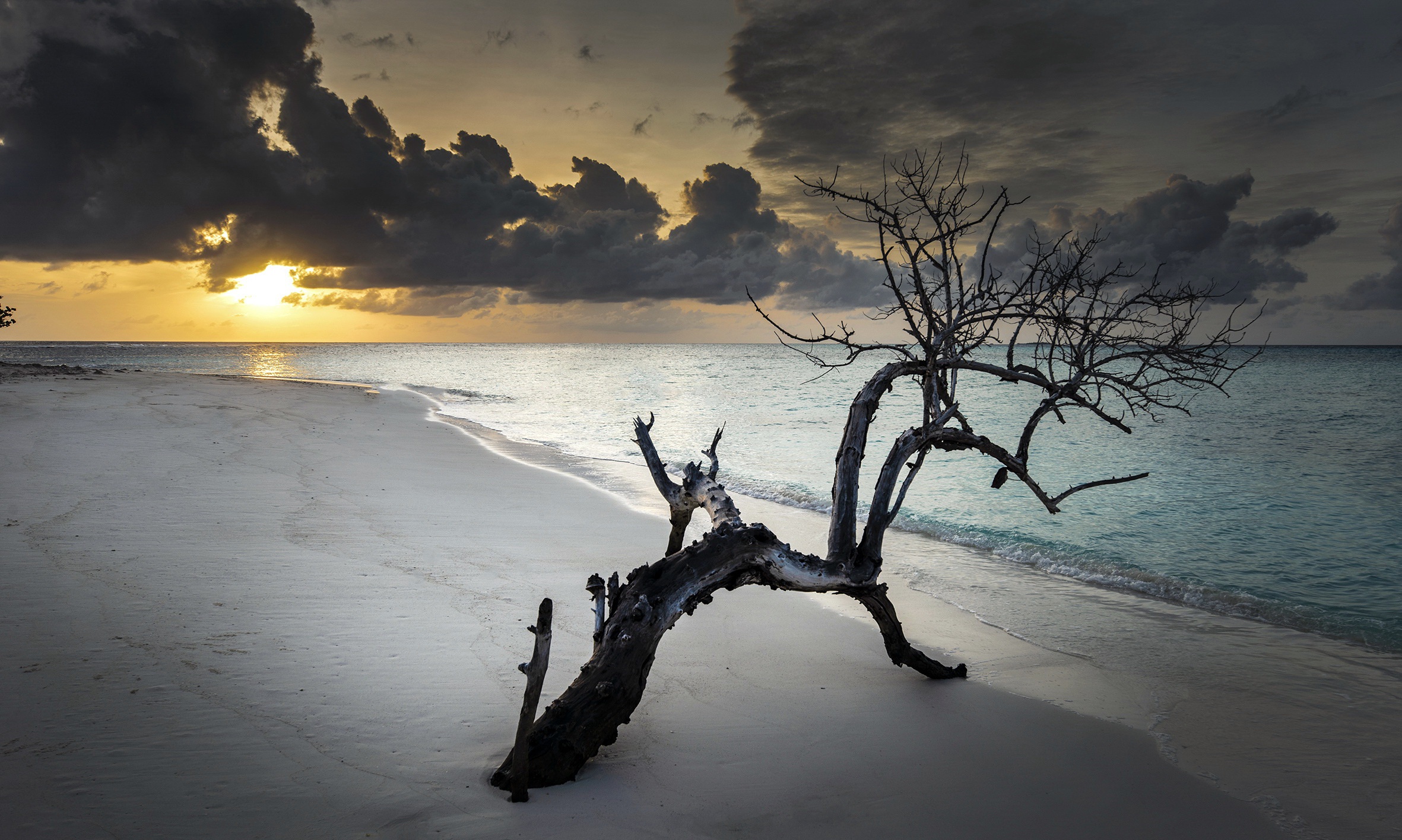 Descarga gratuita de fondo de pantalla para móvil de Playa, Horizonte, Tierra/naturaleza.