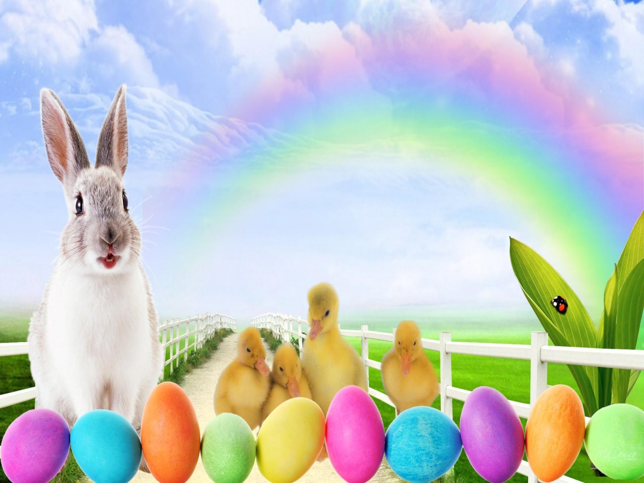 Download mobile wallpaper Easter, Holiday, Rabbit, Chicken, Bunny, Easter Egg for free.