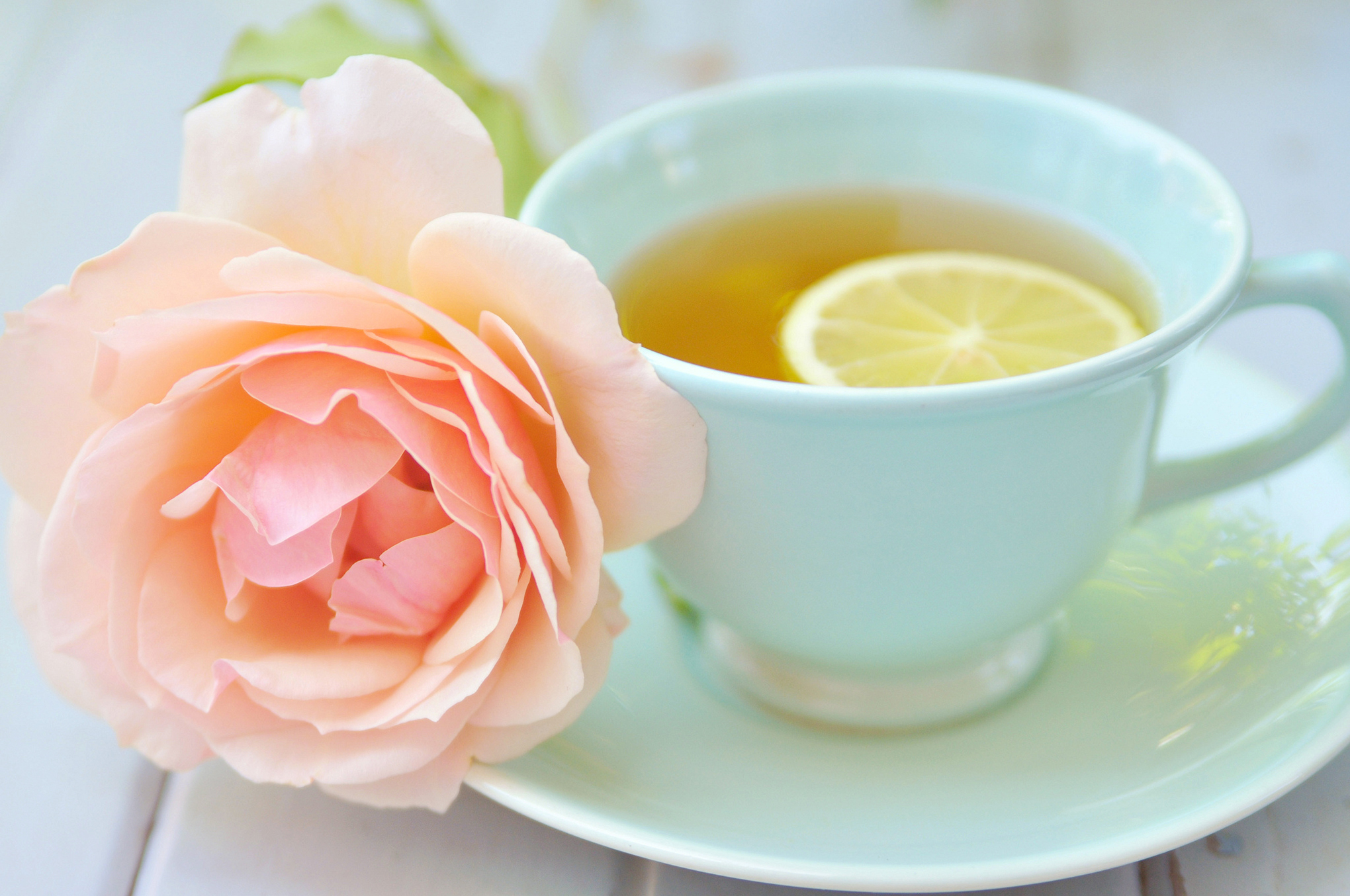 Download mobile wallpaper Rose Flower, Lemon, Cup, Rose, Tea, Food for free.