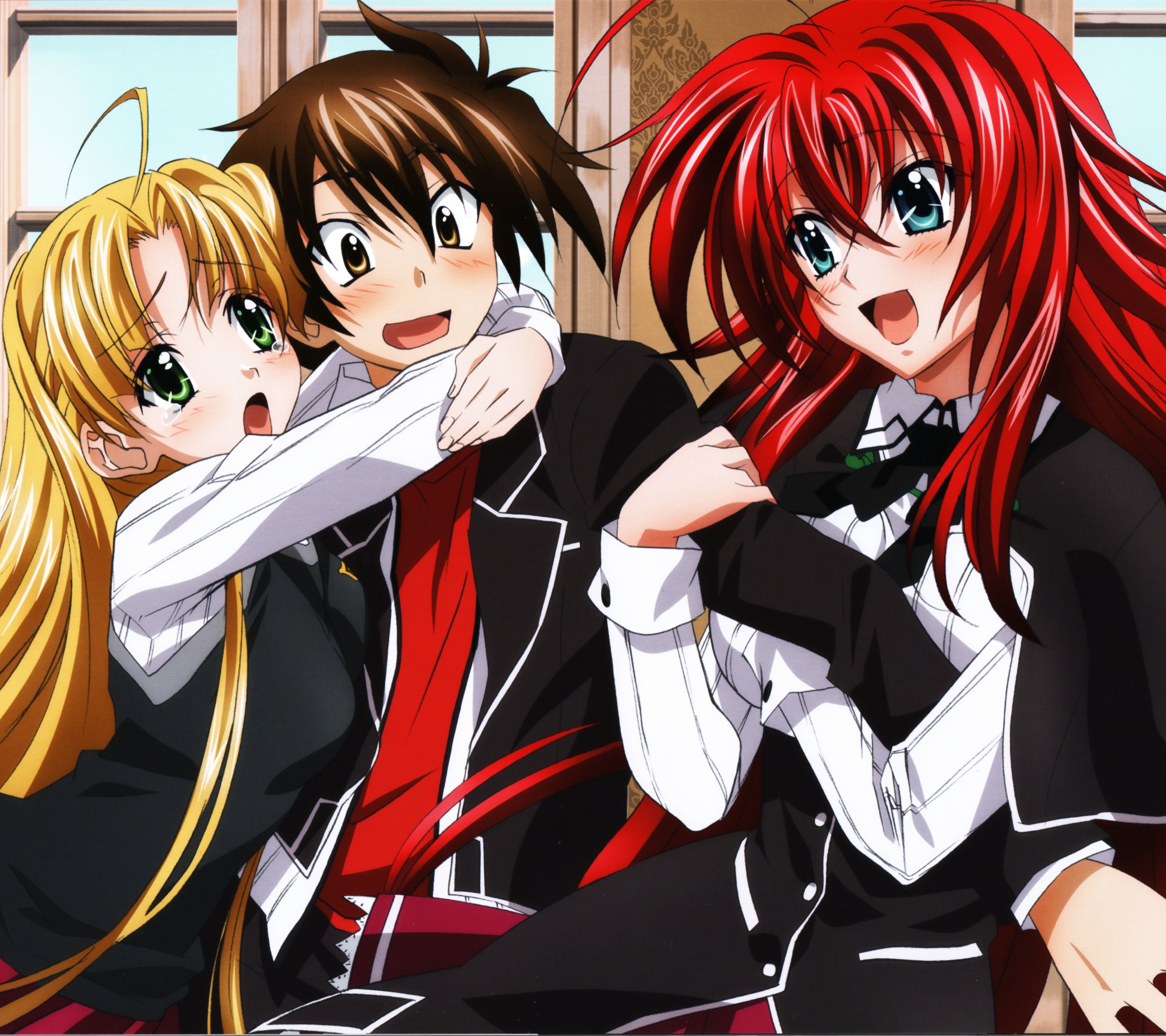 Baixar papel de parede para celular de Anime, High School Dxd gratuito.