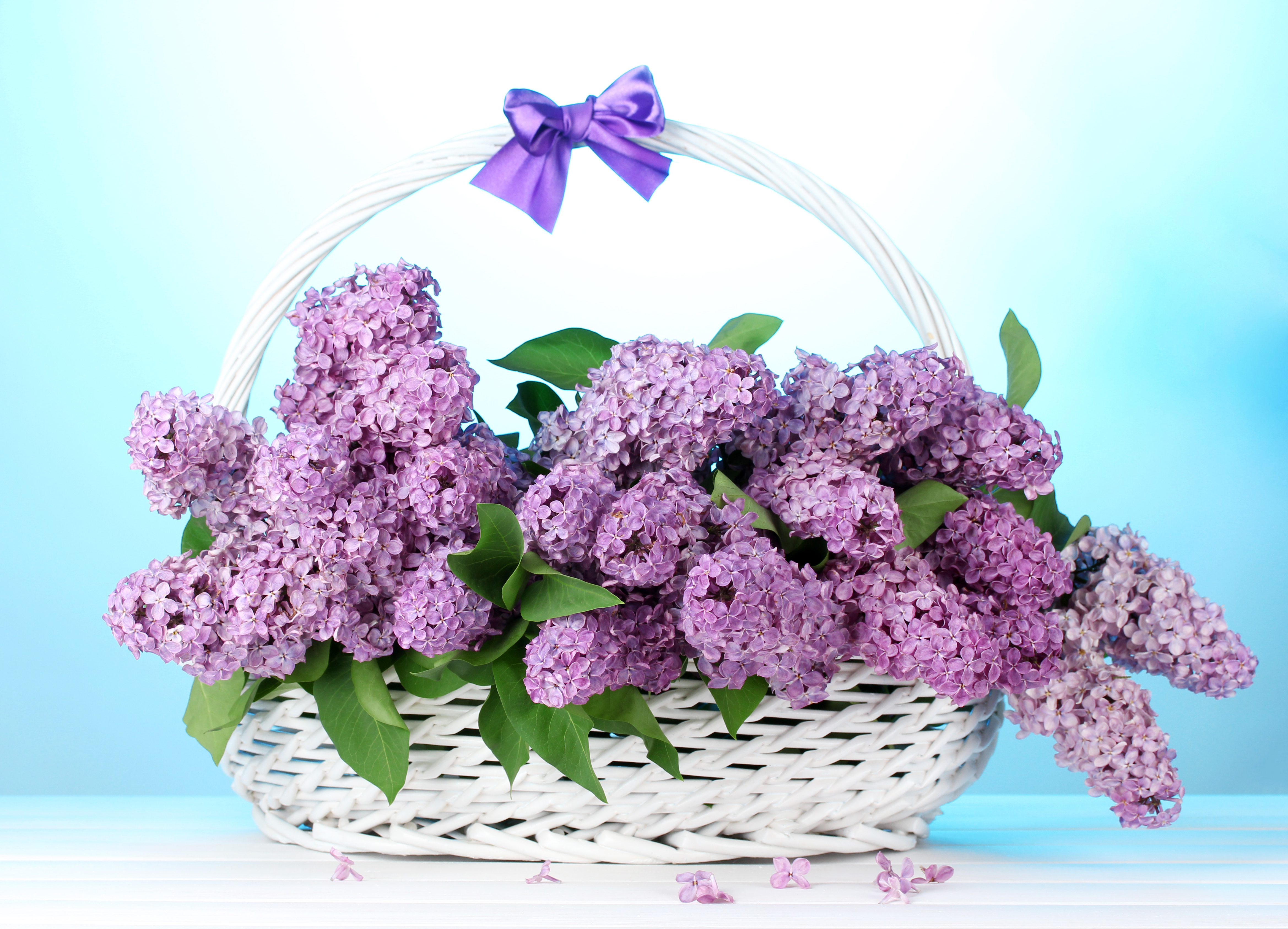 Download mobile wallpaper Lilac, Flower, Basket, Man Made for free.