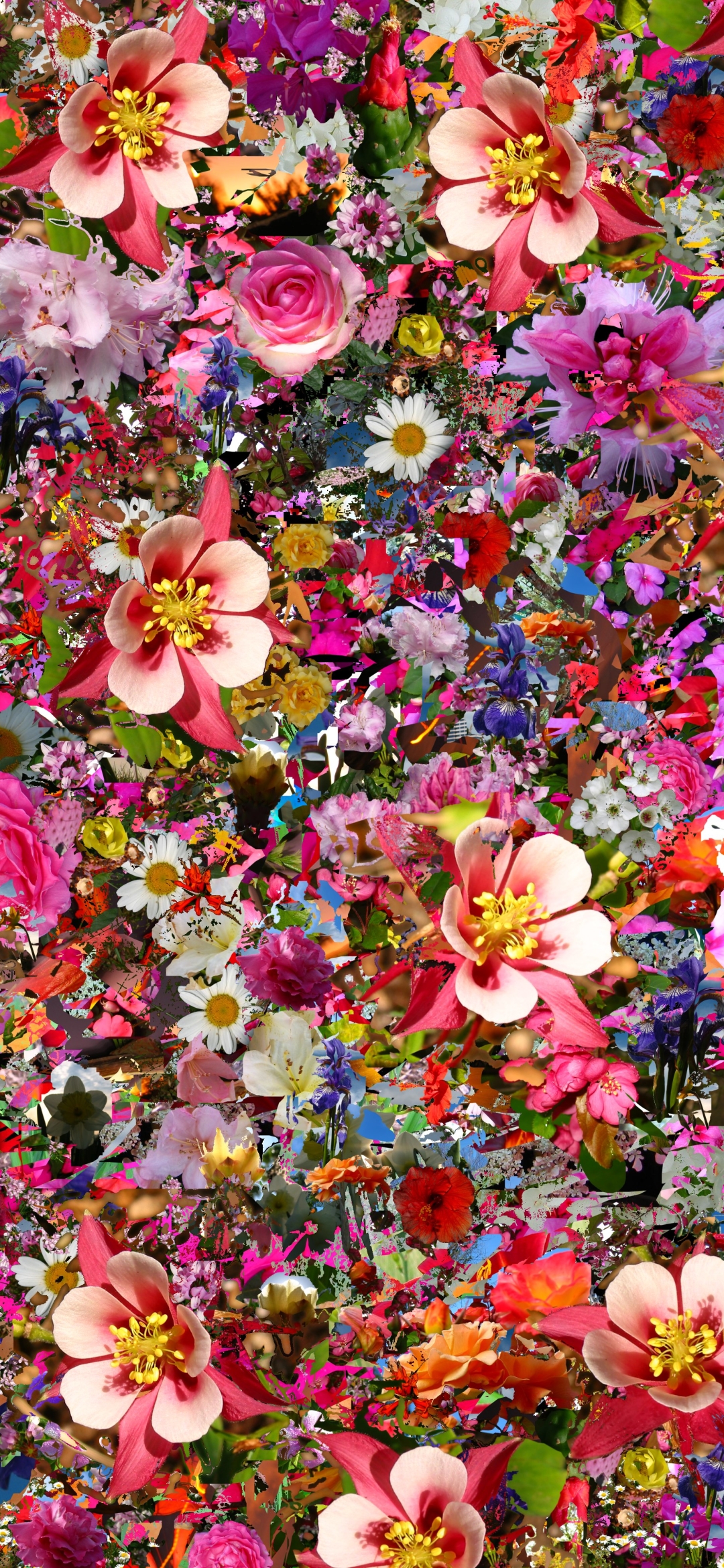 Download mobile wallpaper Flowers, Flower, Colors, Colorful, Artistic for free.