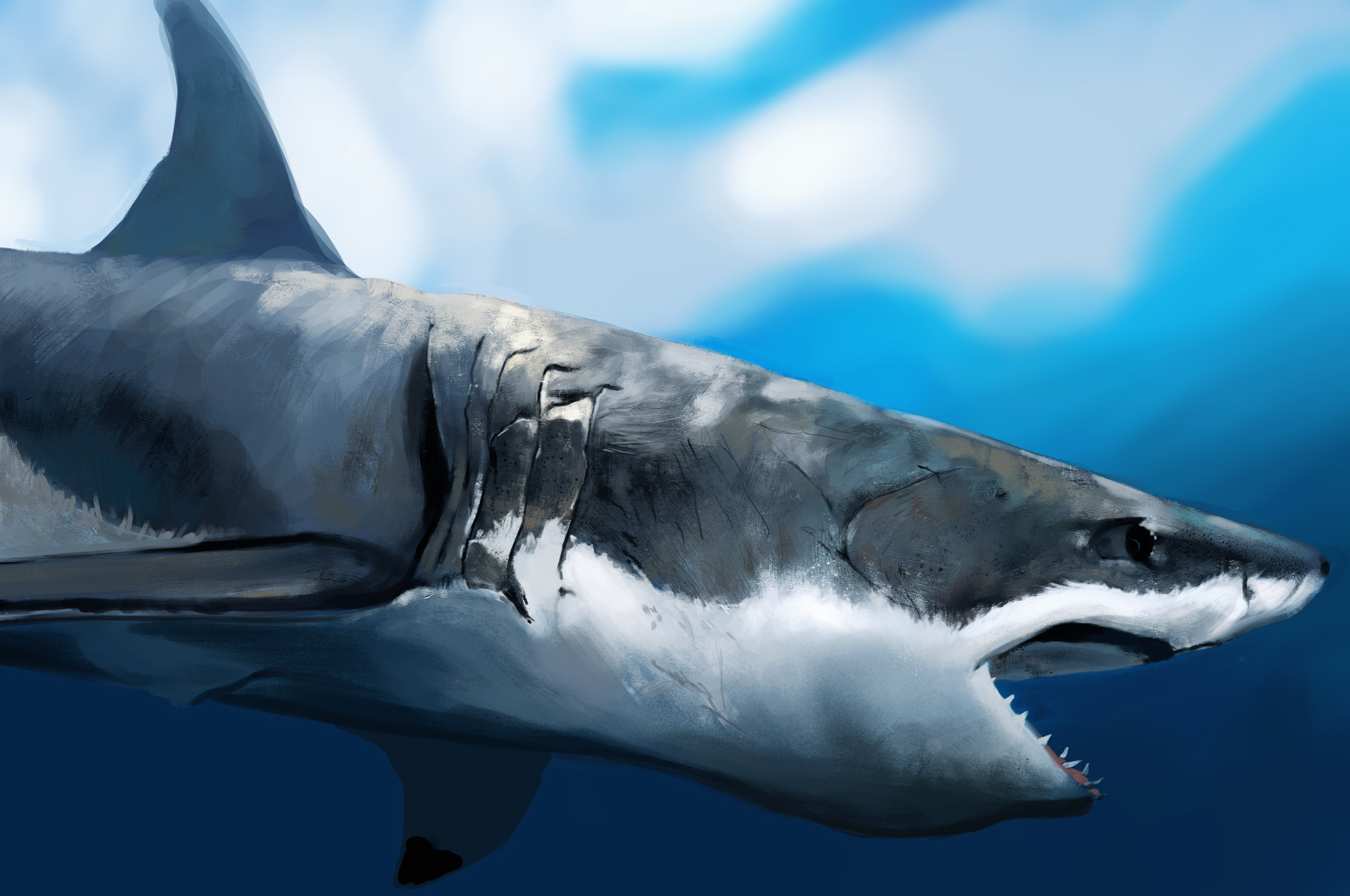 Baixar papel de parede para celular de Animais, Tubarão gratuito.