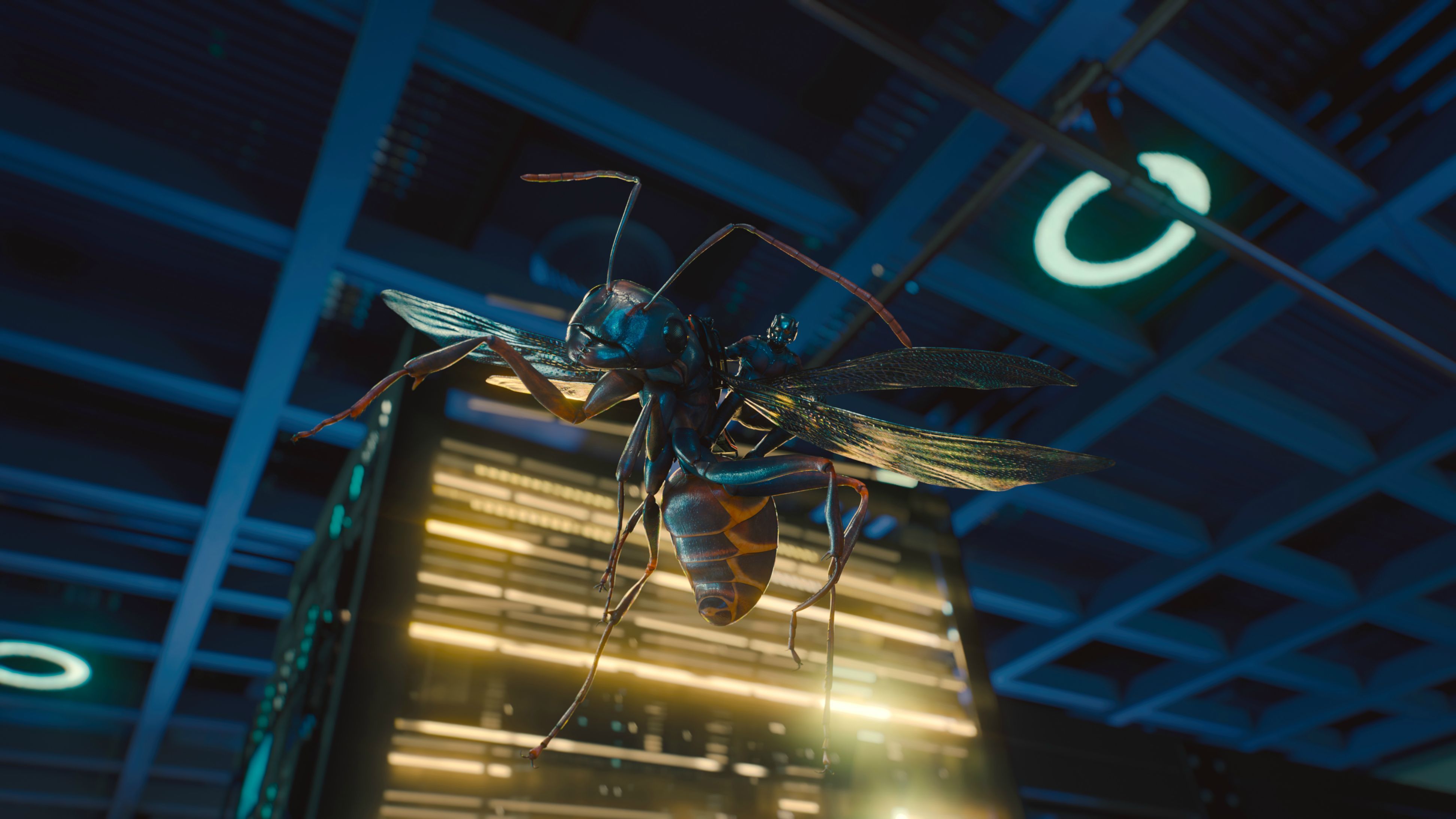 Laden Sie das Filme, Ant Man-Bild kostenlos auf Ihren PC-Desktop herunter