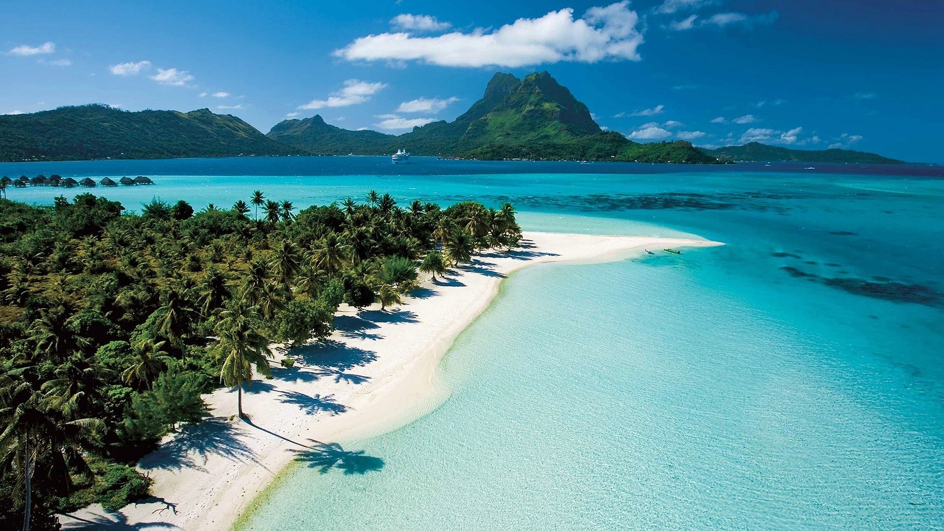 Baixe gratuitamente a imagem Tropical, Fotografia na área de trabalho do seu PC