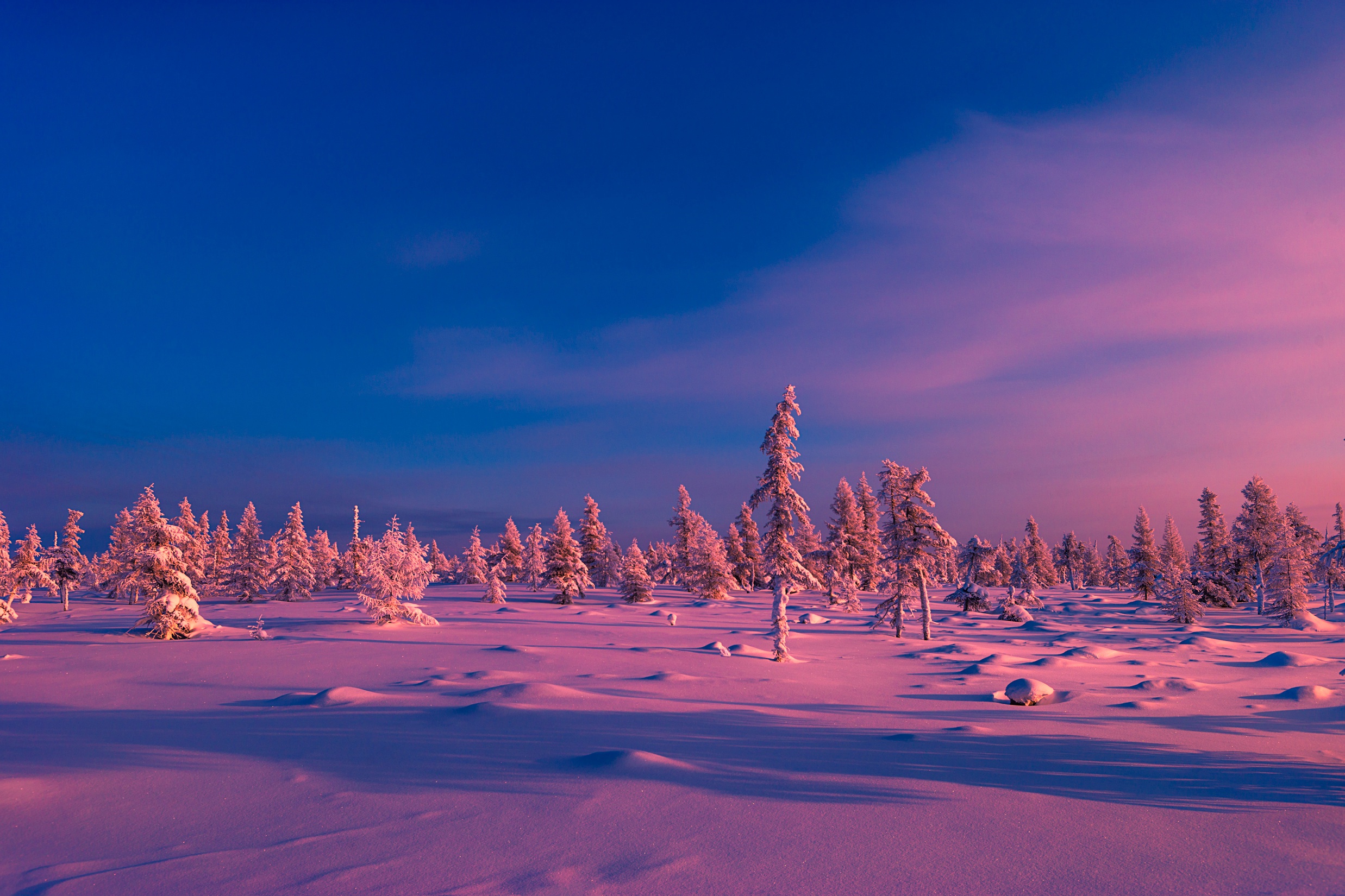 Descarga gratuita de fondo de pantalla para móvil de Invierno, Naturaleza, Cielo, Nieve, Árbol, Tierra/naturaleza.