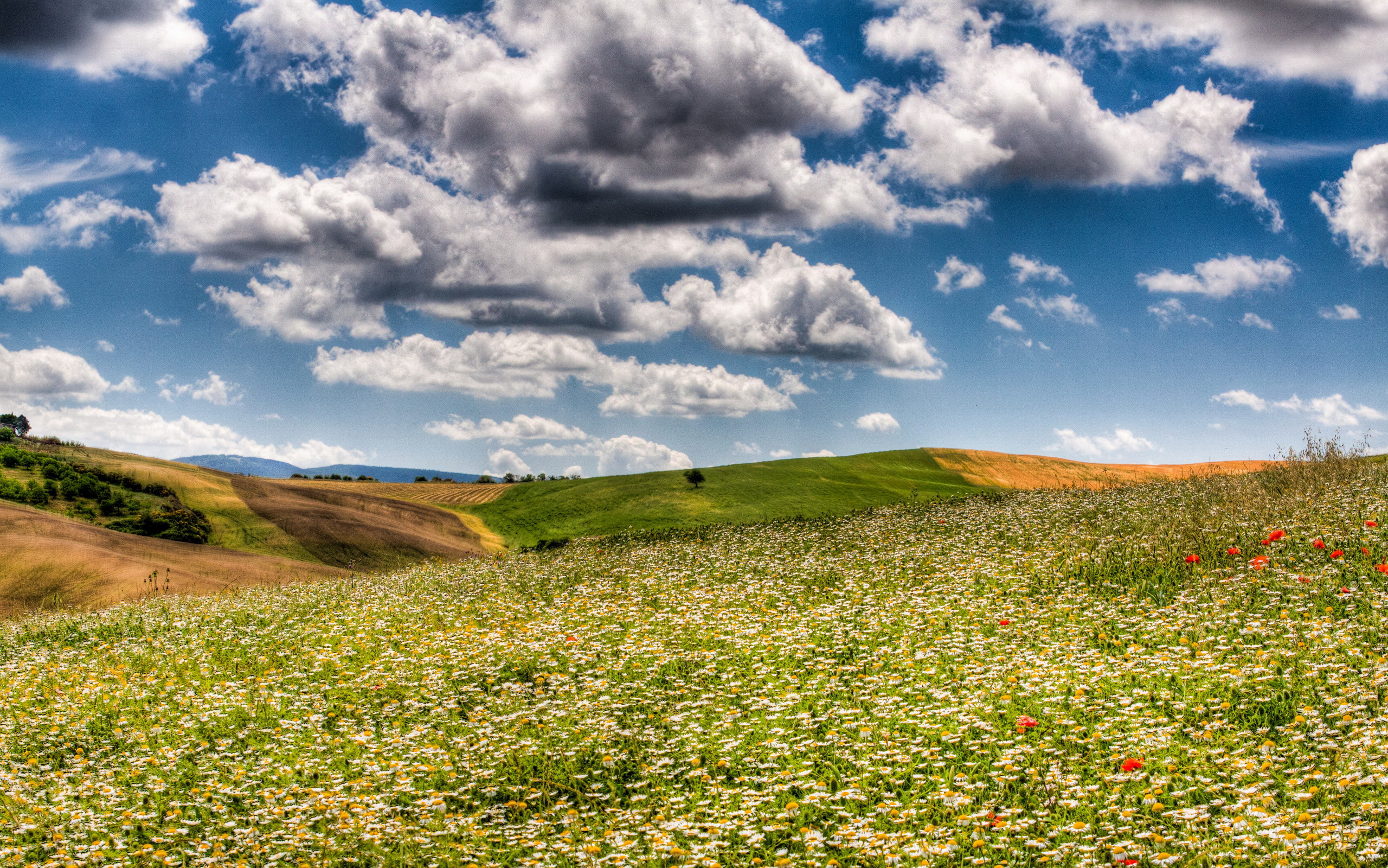 Descarga gratuita de fondo de pantalla para móvil de Tierra/naturaleza, Paisaje.