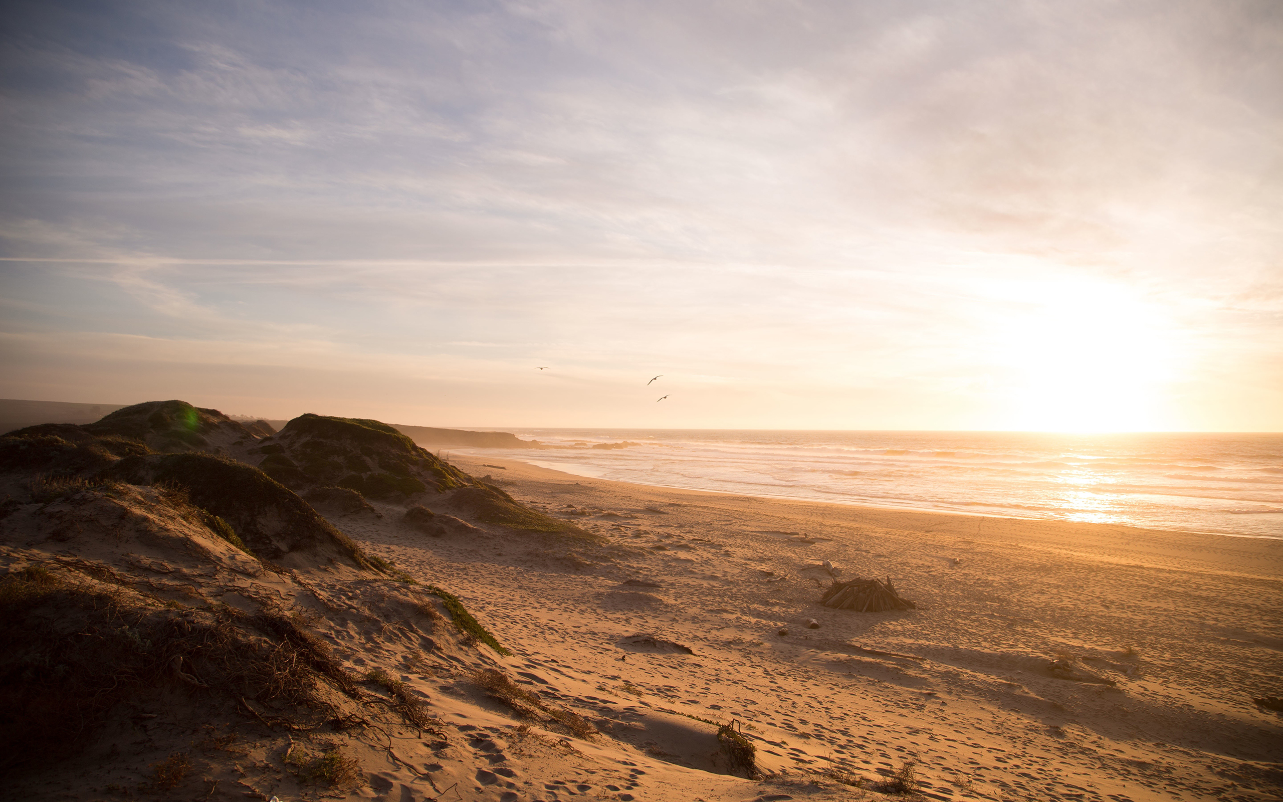 Téléchargez gratuitement l'image Plage, Terre/nature sur le bureau de votre PC