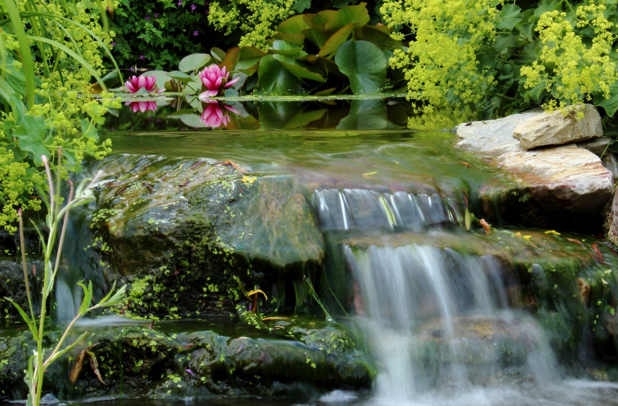 Baixe gratuitamente a imagem Cachoeiras, Jardim, Terra/natureza, Cachoeira, Lírio De Água na área de trabalho do seu PC