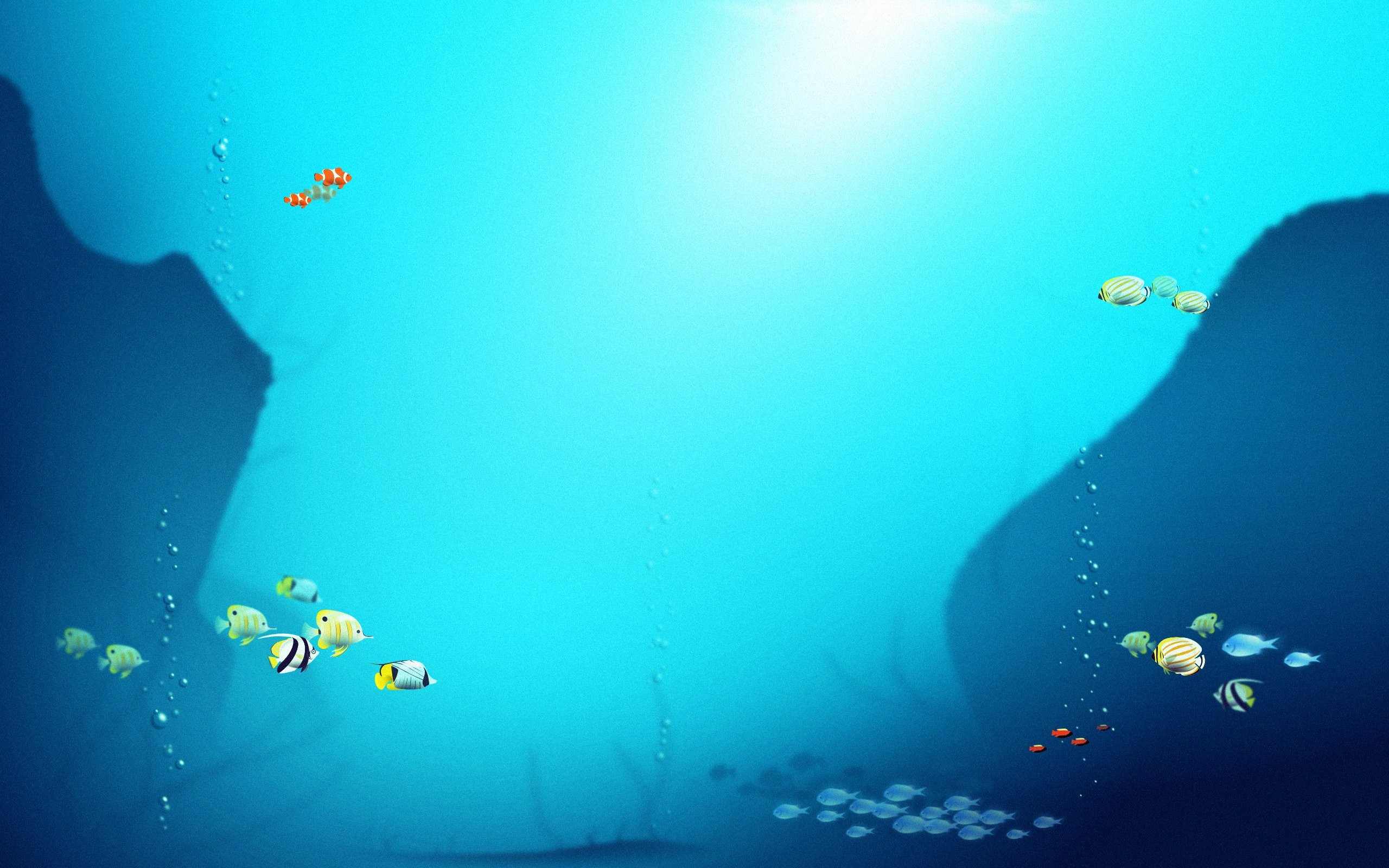 Download mobile wallpaper Fishes, Fish, Animal for free.