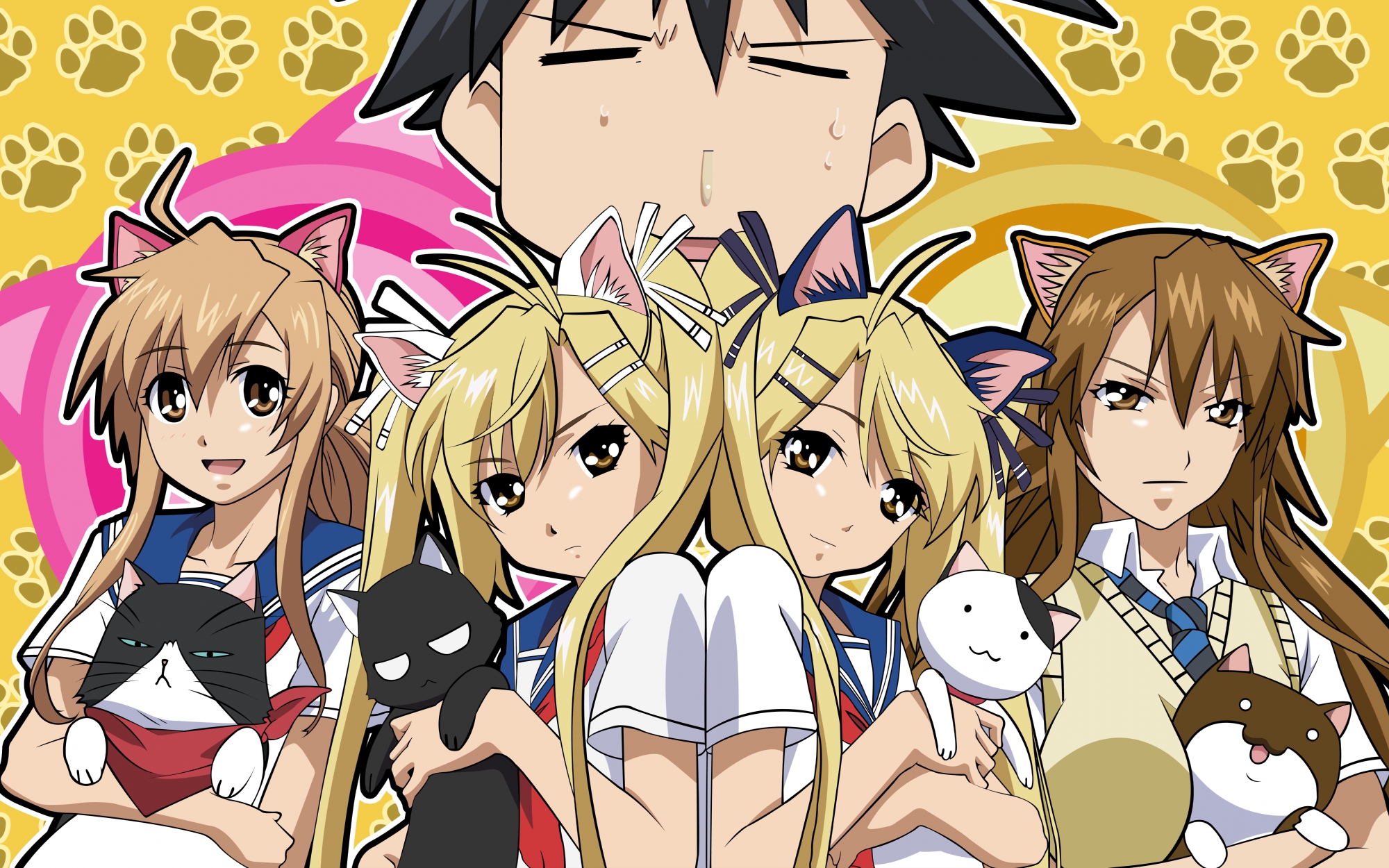 240941 Hintergrundbild herunterladen animes, nyan koi! - Bildschirmschoner und Bilder kostenlos