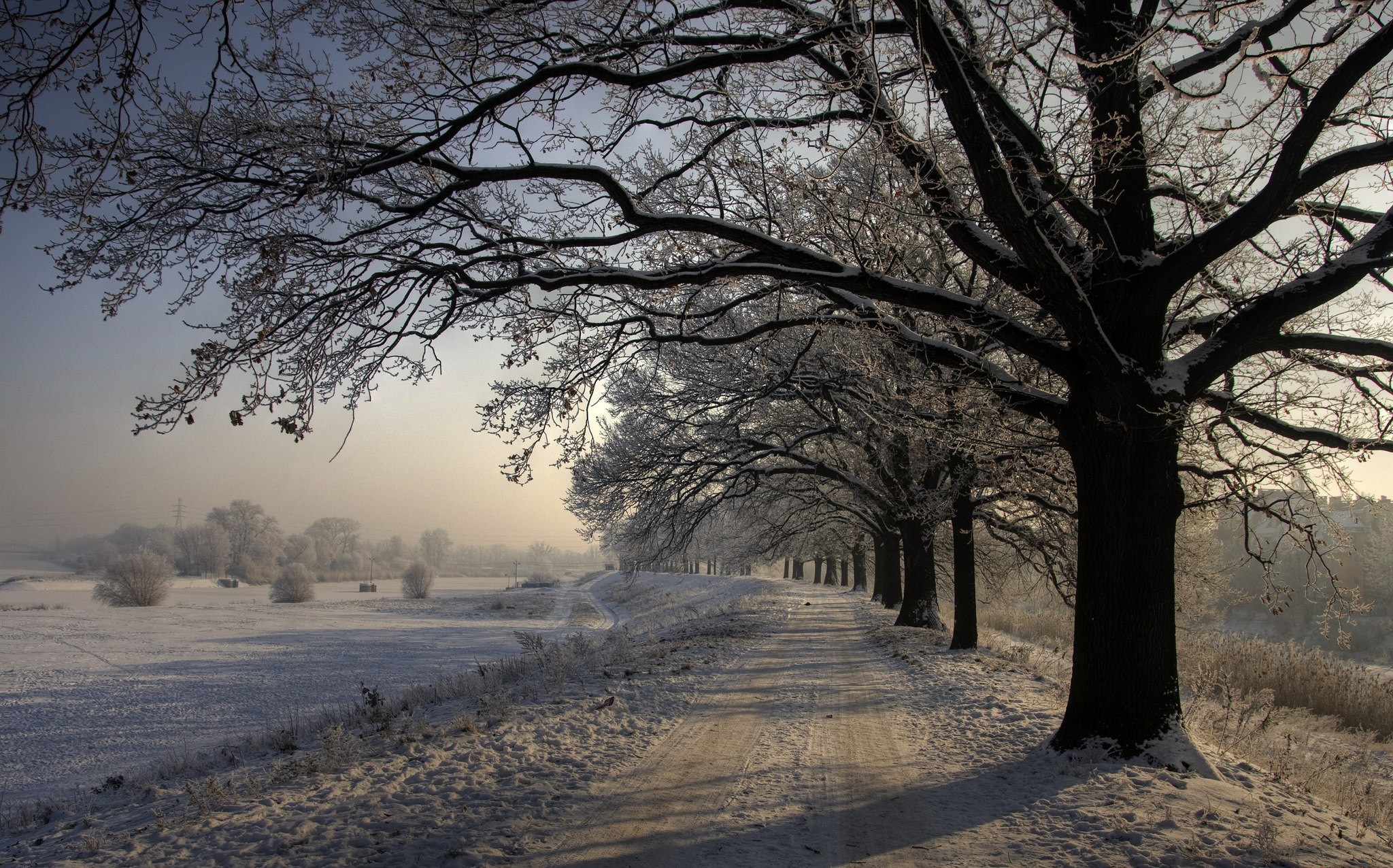 Download mobile wallpaper Winter, Nature, Snow, Tree, Earth, Tree Lined, Dirt Road for free.