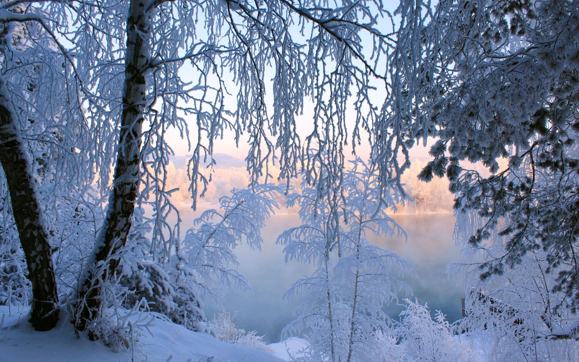 Скачать обои бесплатно Зима, Снег, Гора, Лес, Земля/природа картинка на рабочий стол ПК