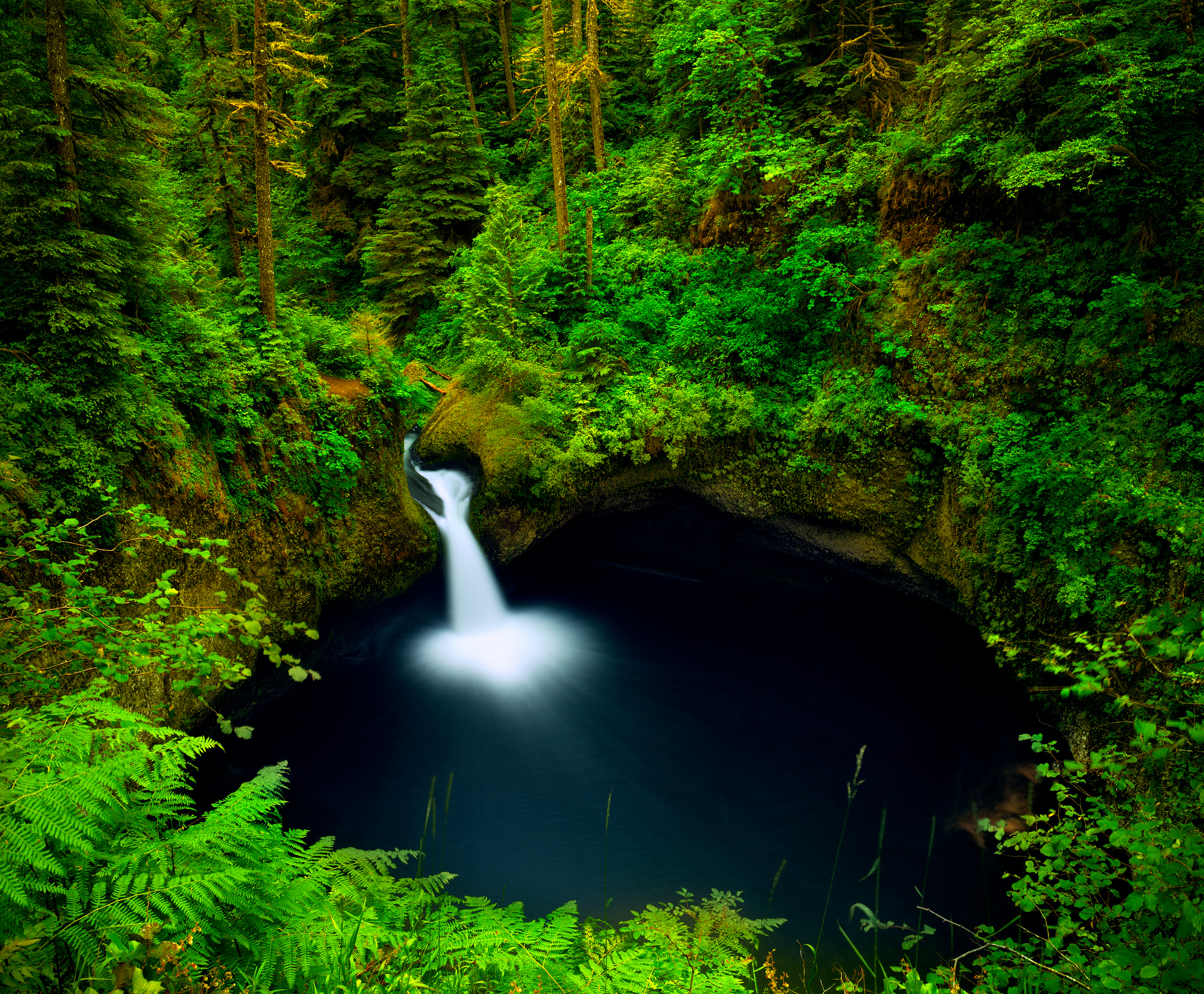 Скачать картинку Водопады, Водопад, Зеленый, Тропический, Земля/природа в телефон бесплатно.