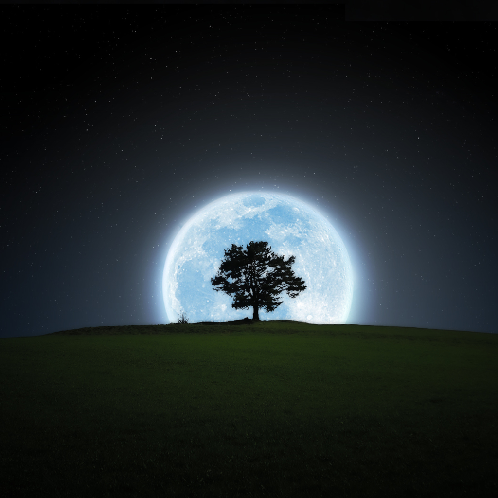Téléchargez des papiers peints mobile Nuit, Lune, Silhouette, Arbre, Terre/nature gratuitement.
