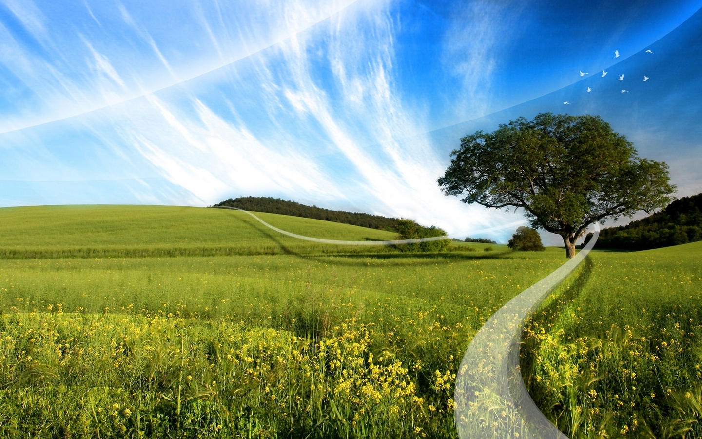 Download mobile wallpaper Sky, Trees, Grass, Landscape for free.