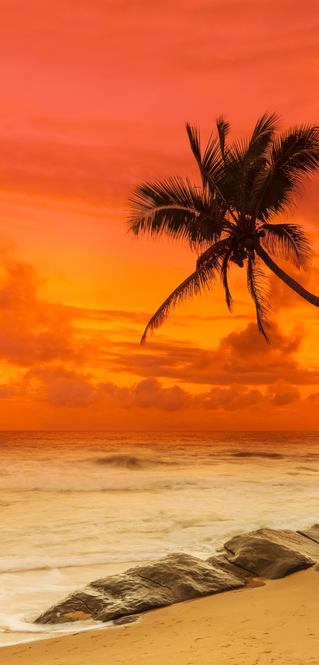 Download mobile wallpaper Sunset, Beach, Ocean, Earth, Tropical for free.