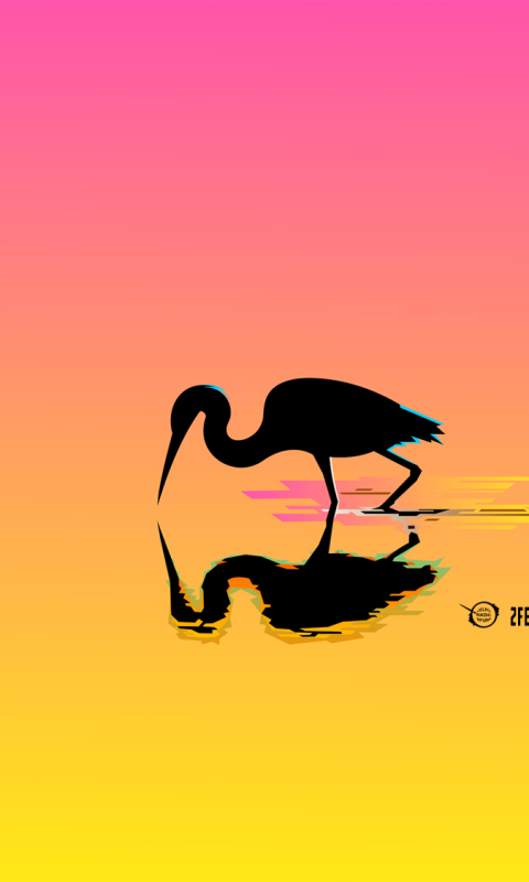 Download mobile wallpaper Birds, Water, Reflection, Bird, Animal, Colorful, Ibis, Minimalist for free.