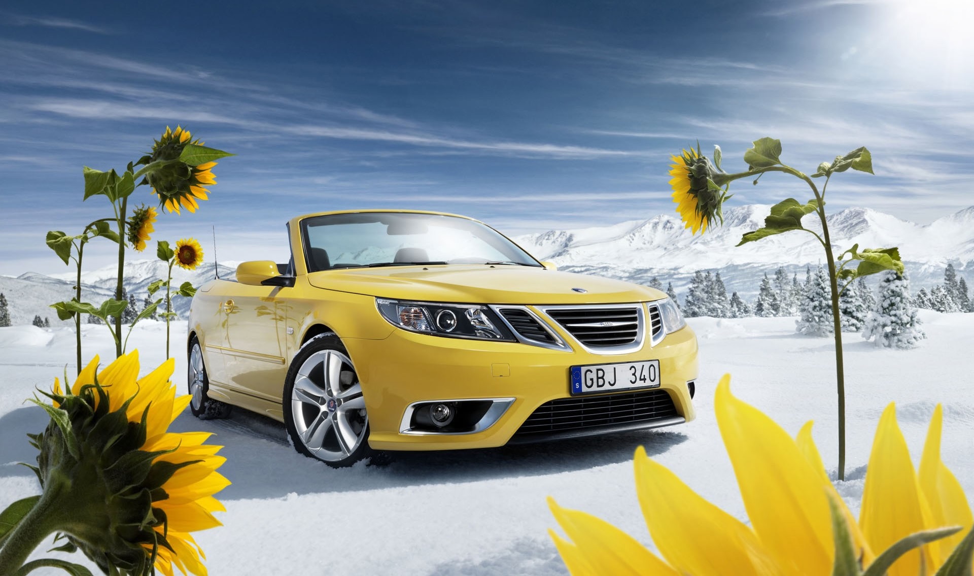 Laden Sie das Winter, Schnee, Blume, Autos, Sonnenblume, Cabrio, Saab, Fahrzeuge, Gelbes Auto-Bild kostenlos auf Ihren PC-Desktop herunter