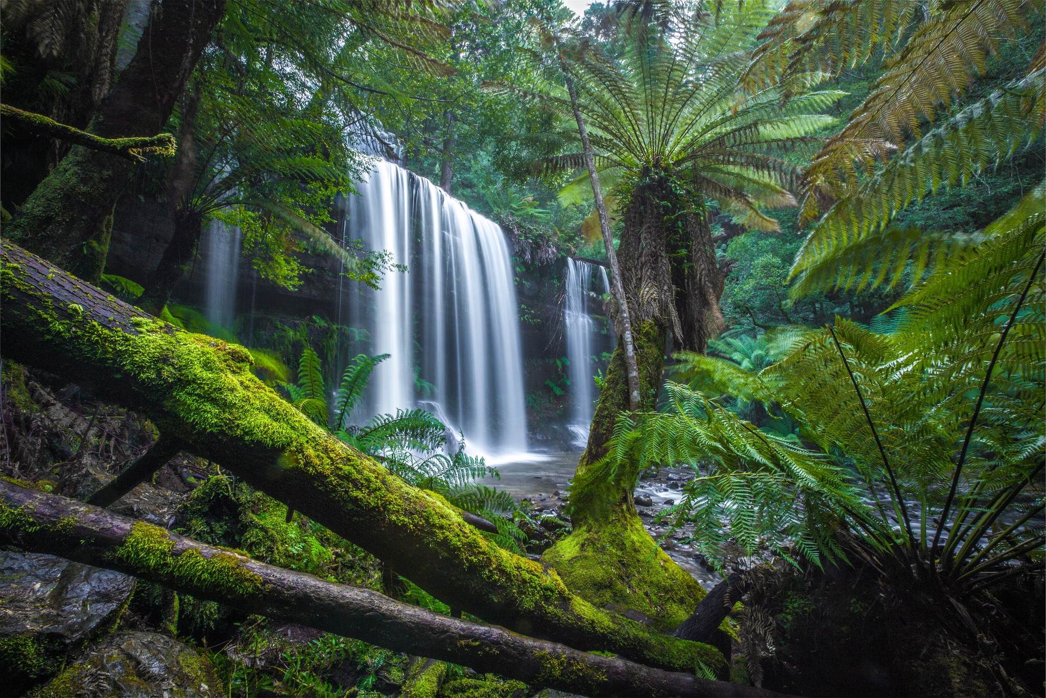 Download mobile wallpaper Nature, Waterfalls, Waterfall, Fern, Earth, Moss, Jungle for free.