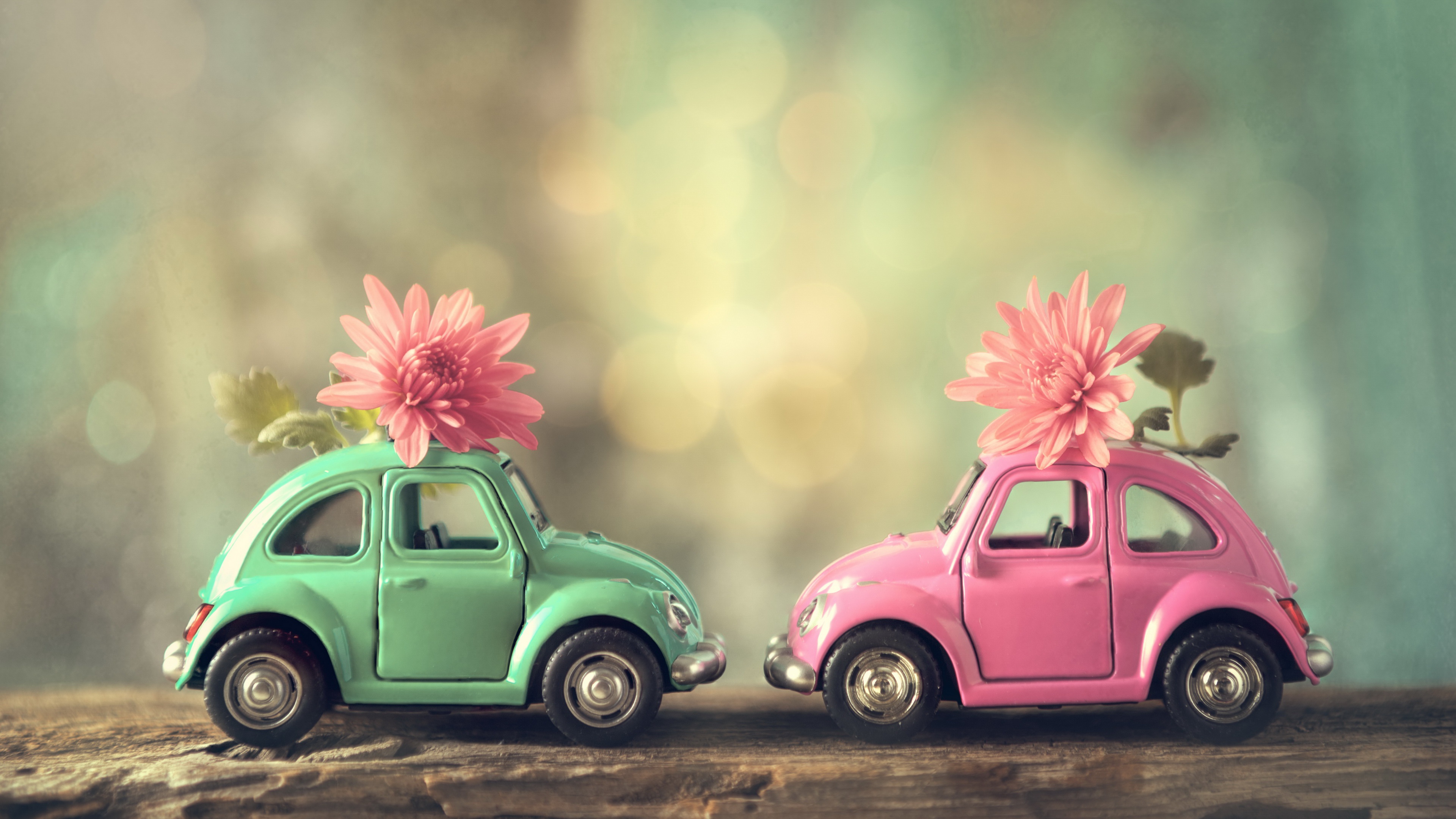 Download mobile wallpaper Flower, Car, Toy, Man Made for free.