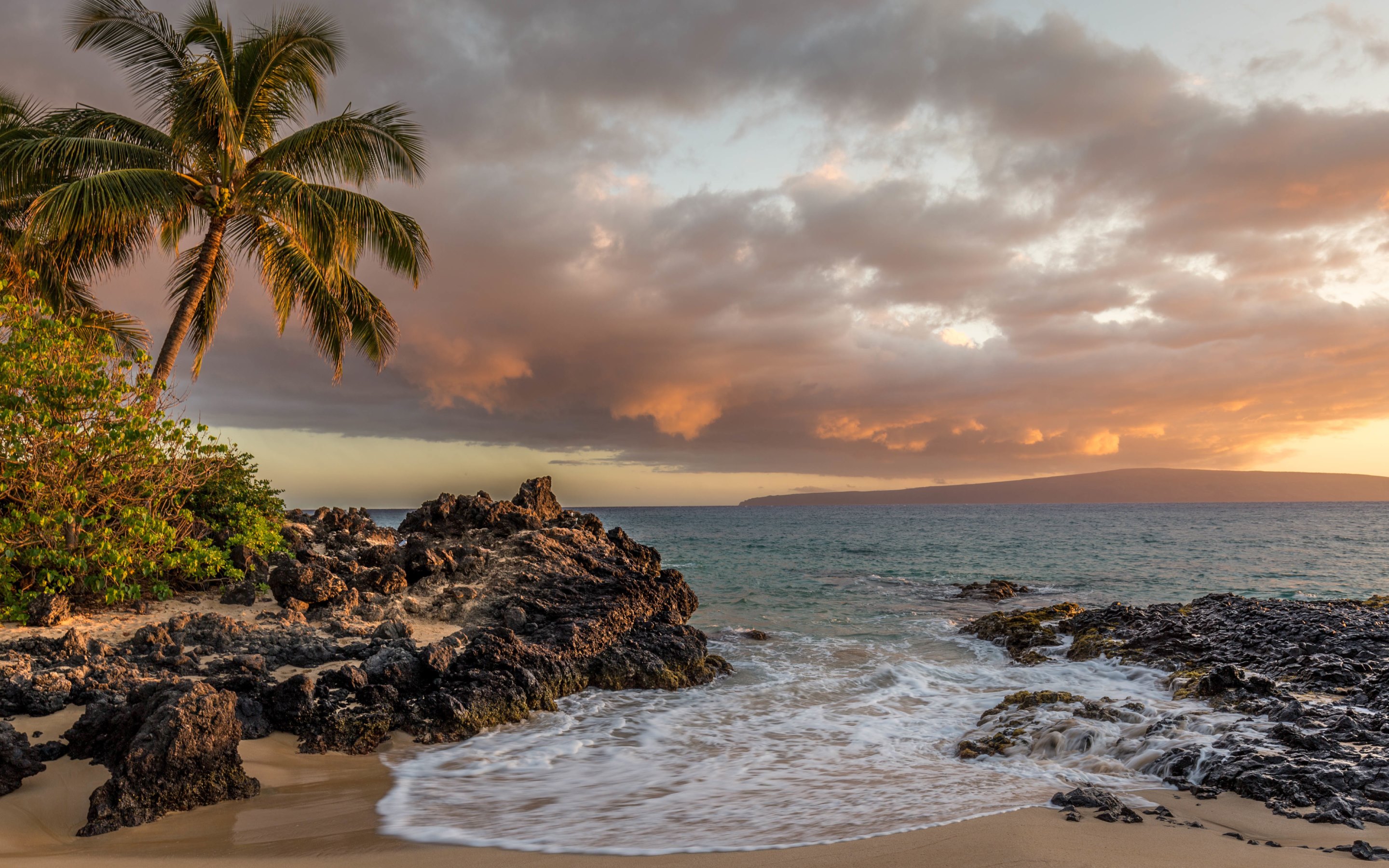 Скачать картинку Природа, Море, Облака, Пляж, Пальмы, Океан, Гавайи, Земля/природа в телефон бесплатно.