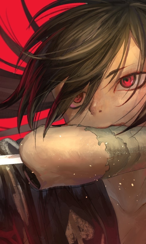 Download mobile wallpaper Anime, Hyakkimaru (Dororo), Dororo for free.